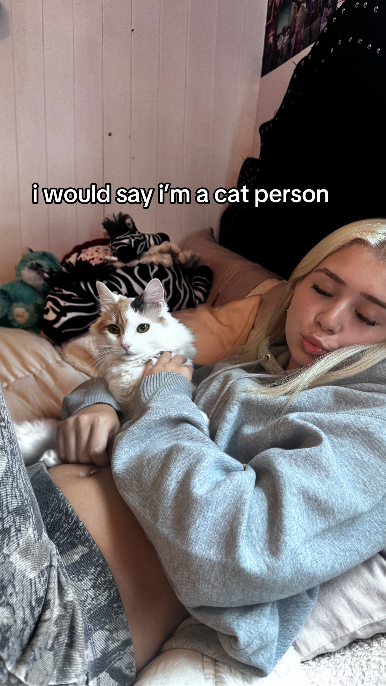 @stedi