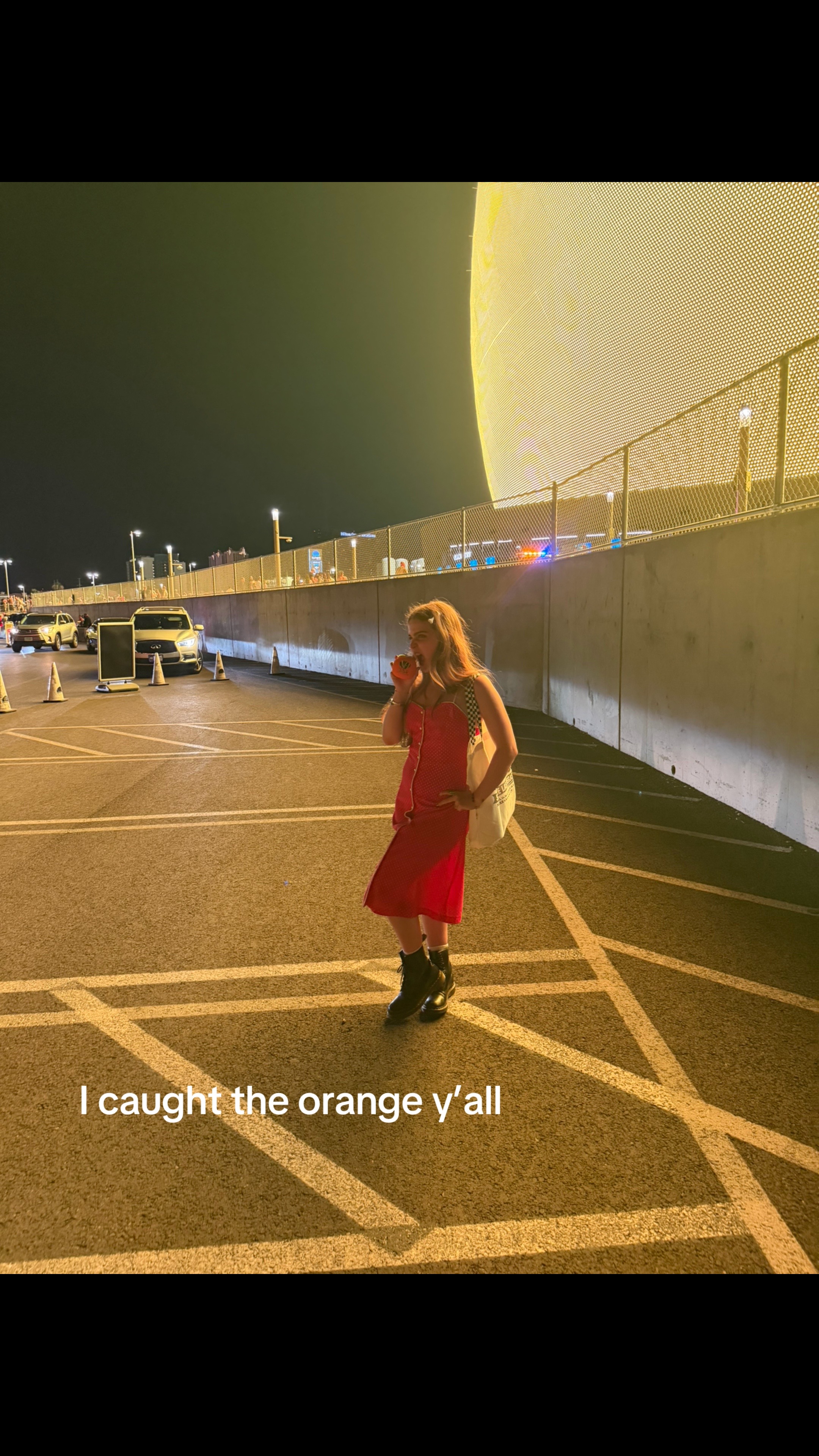 @🦨✯