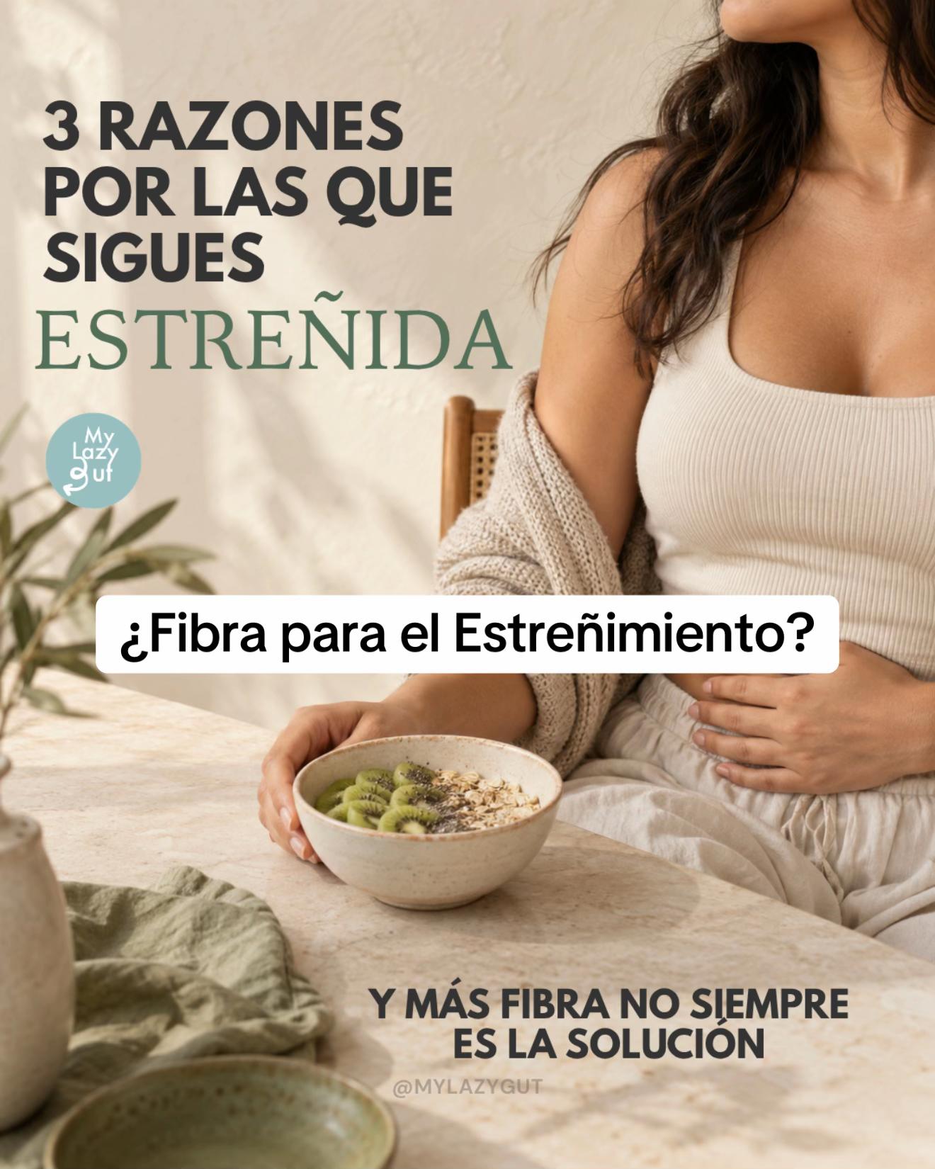 @Mylazygut/Digesti&oacute;n Saludable