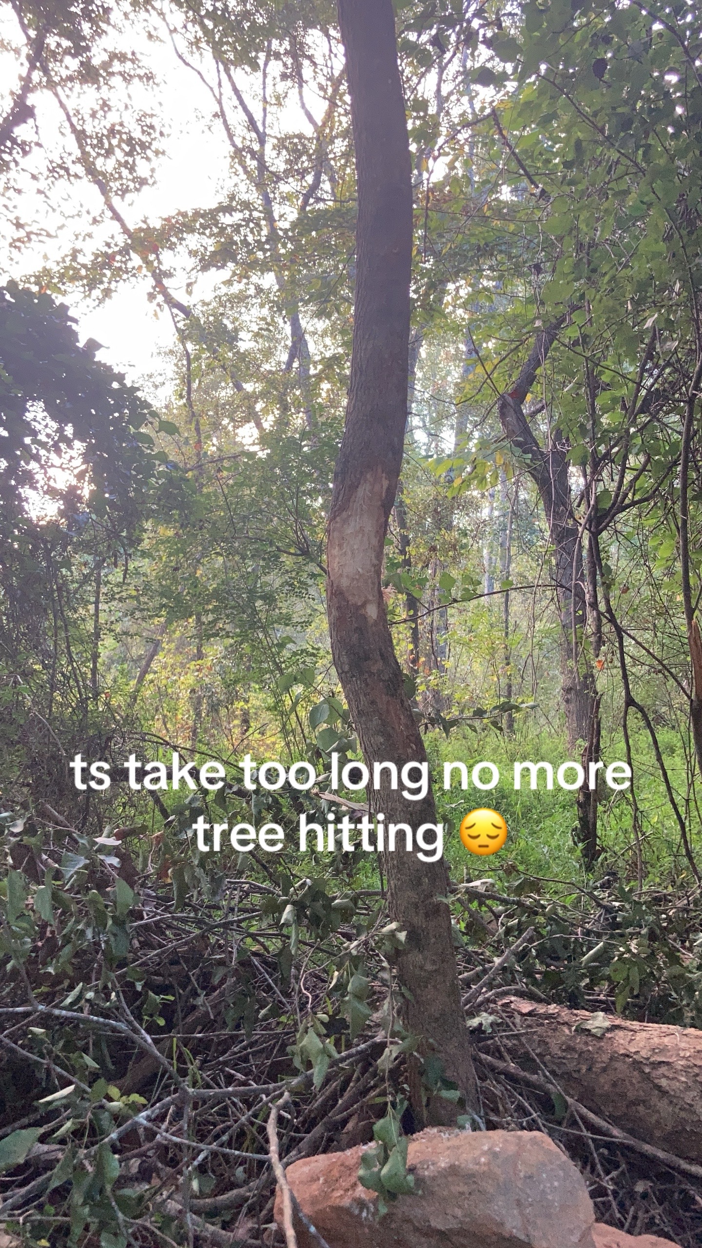 @Nibhas