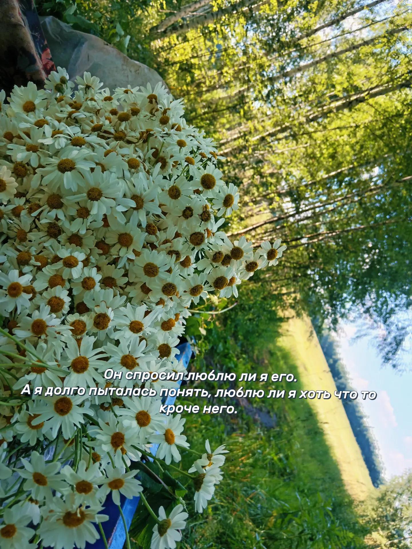 @твоя душа❤️