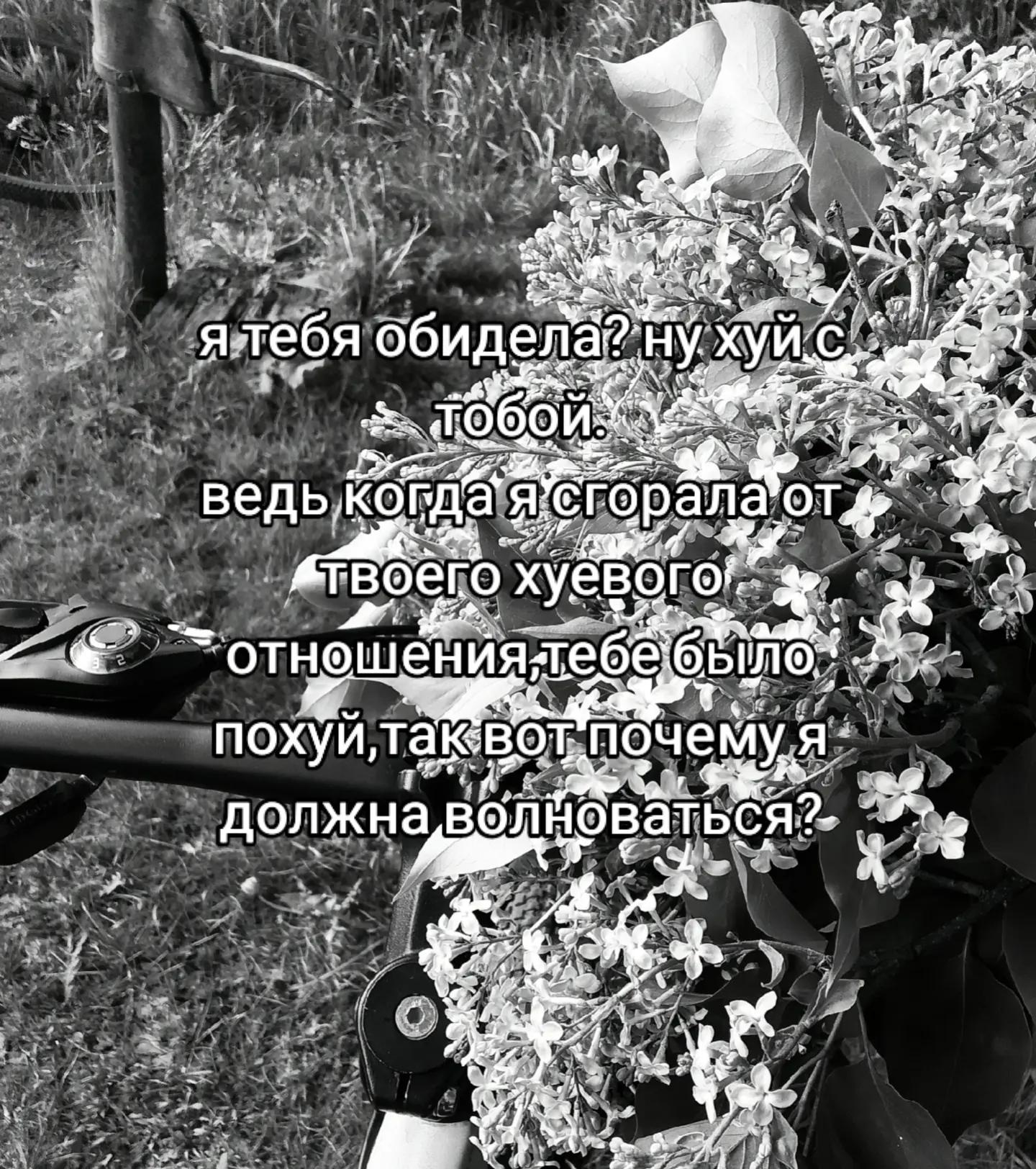 @𝓪𝓻𝓪𝓴𝓬𝓱𝓮𝓮𝓮𝓿𝓪🐈⬛