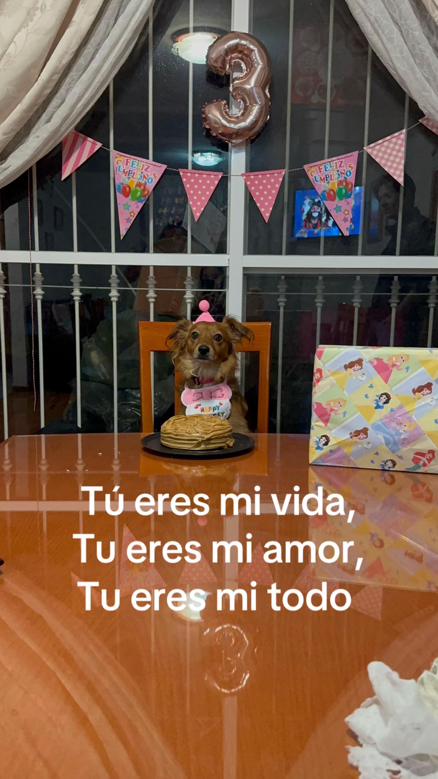 @Ingrid Montoya