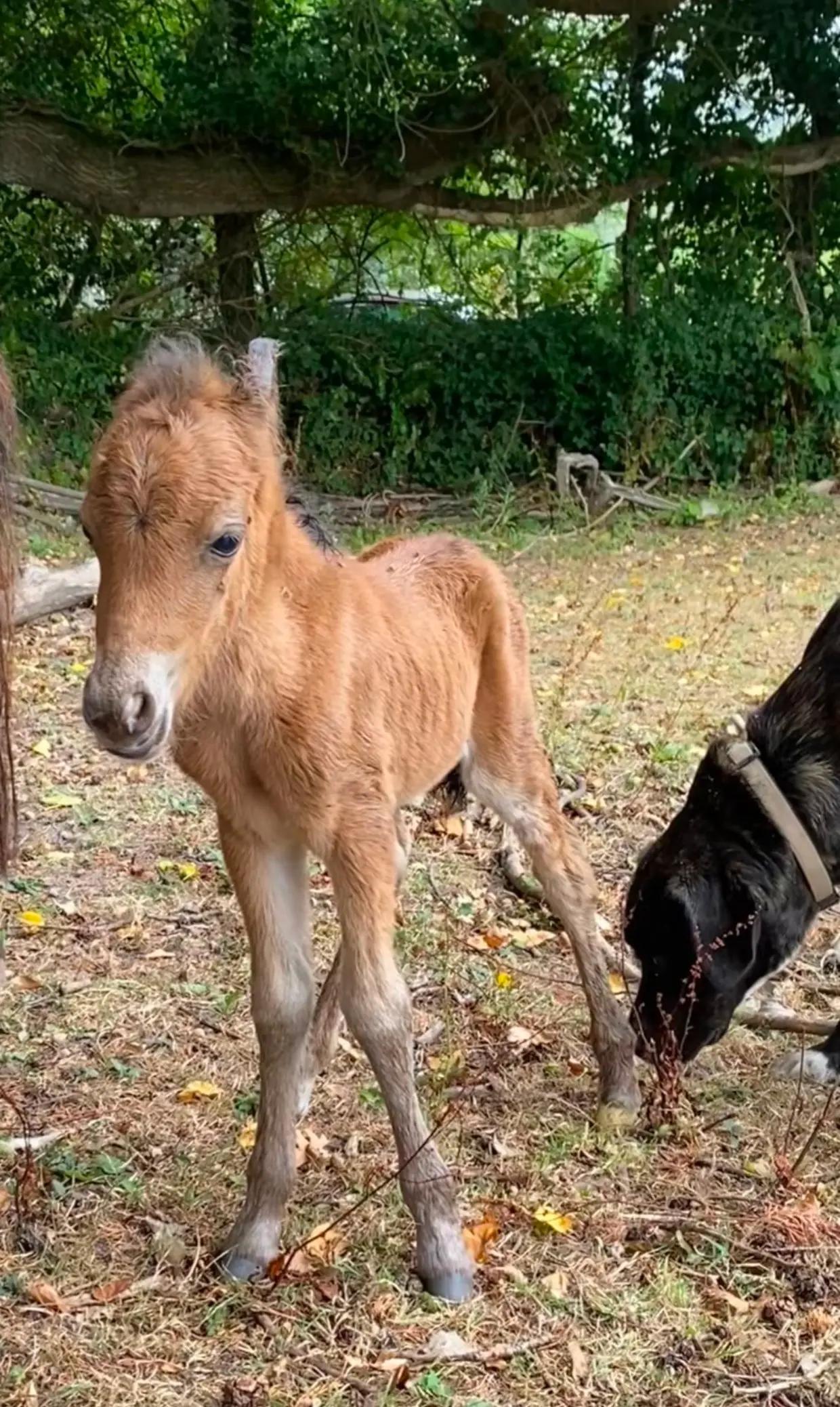 @☘️🦄Aela🌷🙏❤️