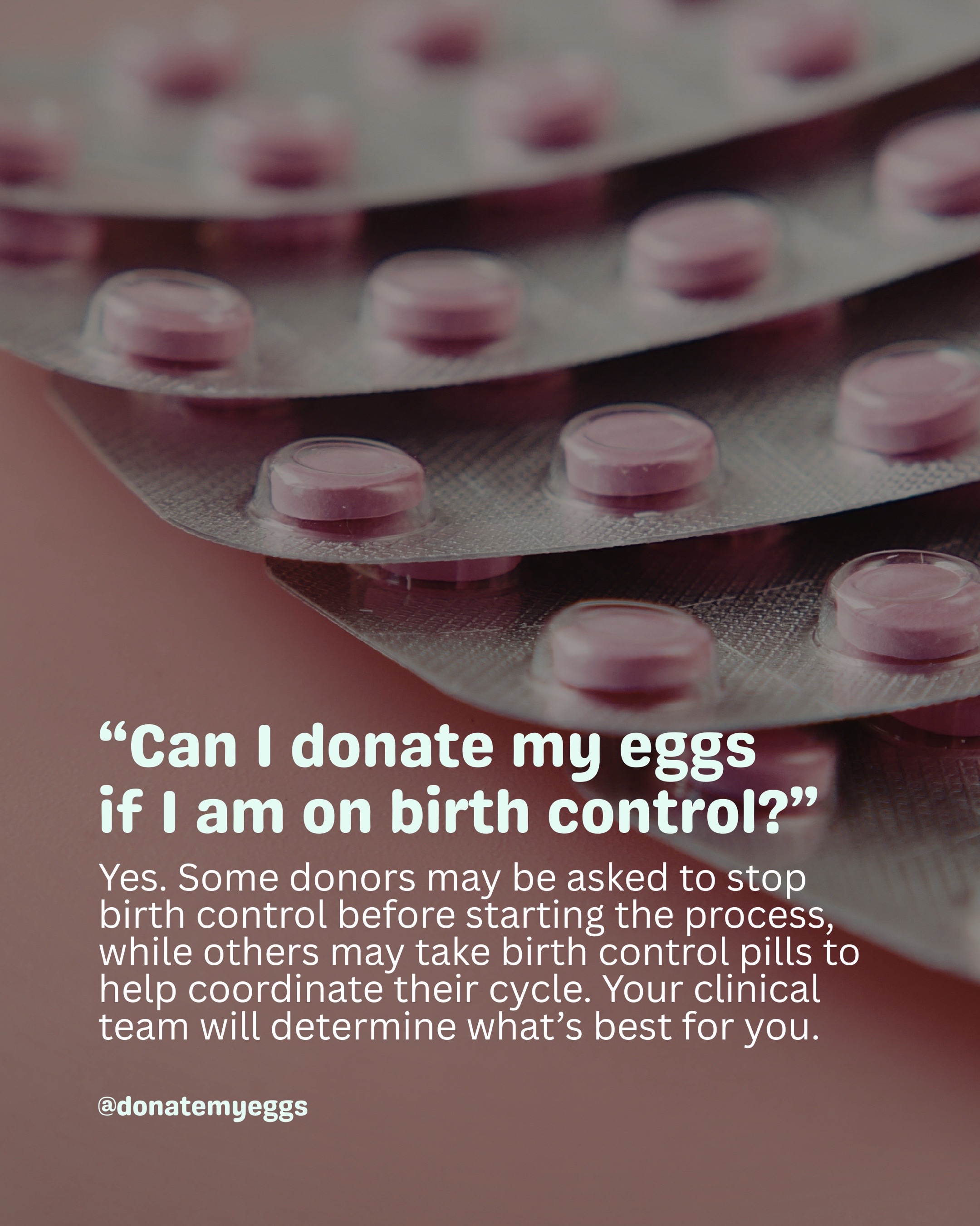@DonateMyEggs
