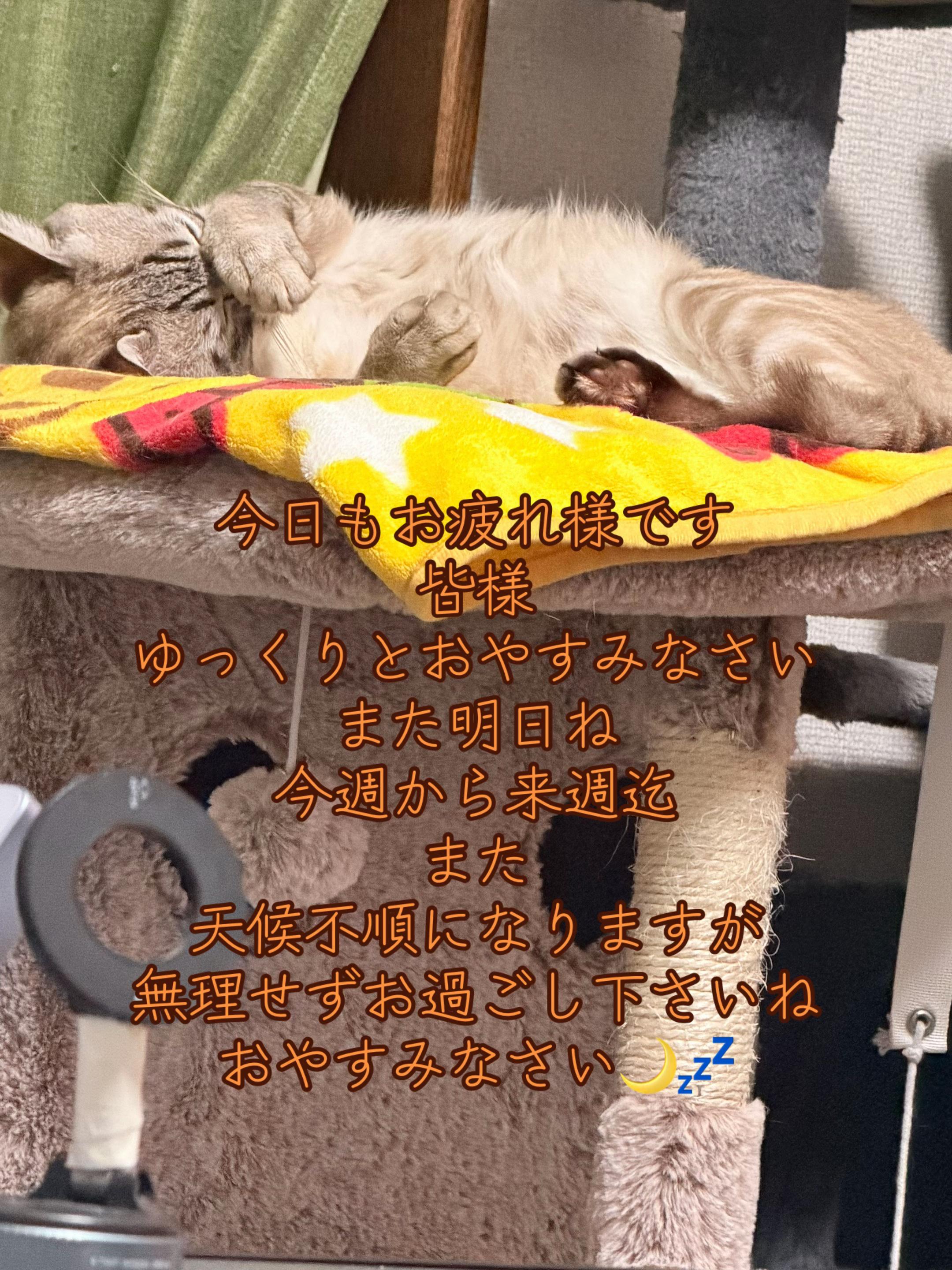 @ð¥é»æŸ€æ£å¿ð¥