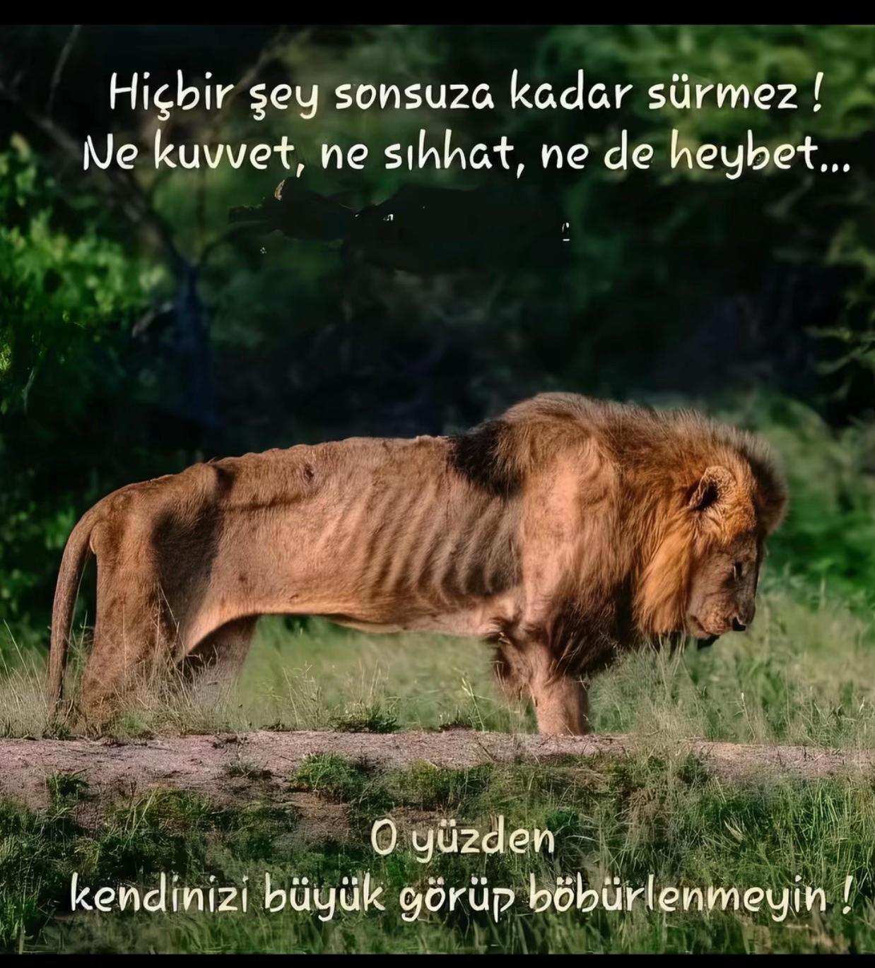 @Welat Kapan