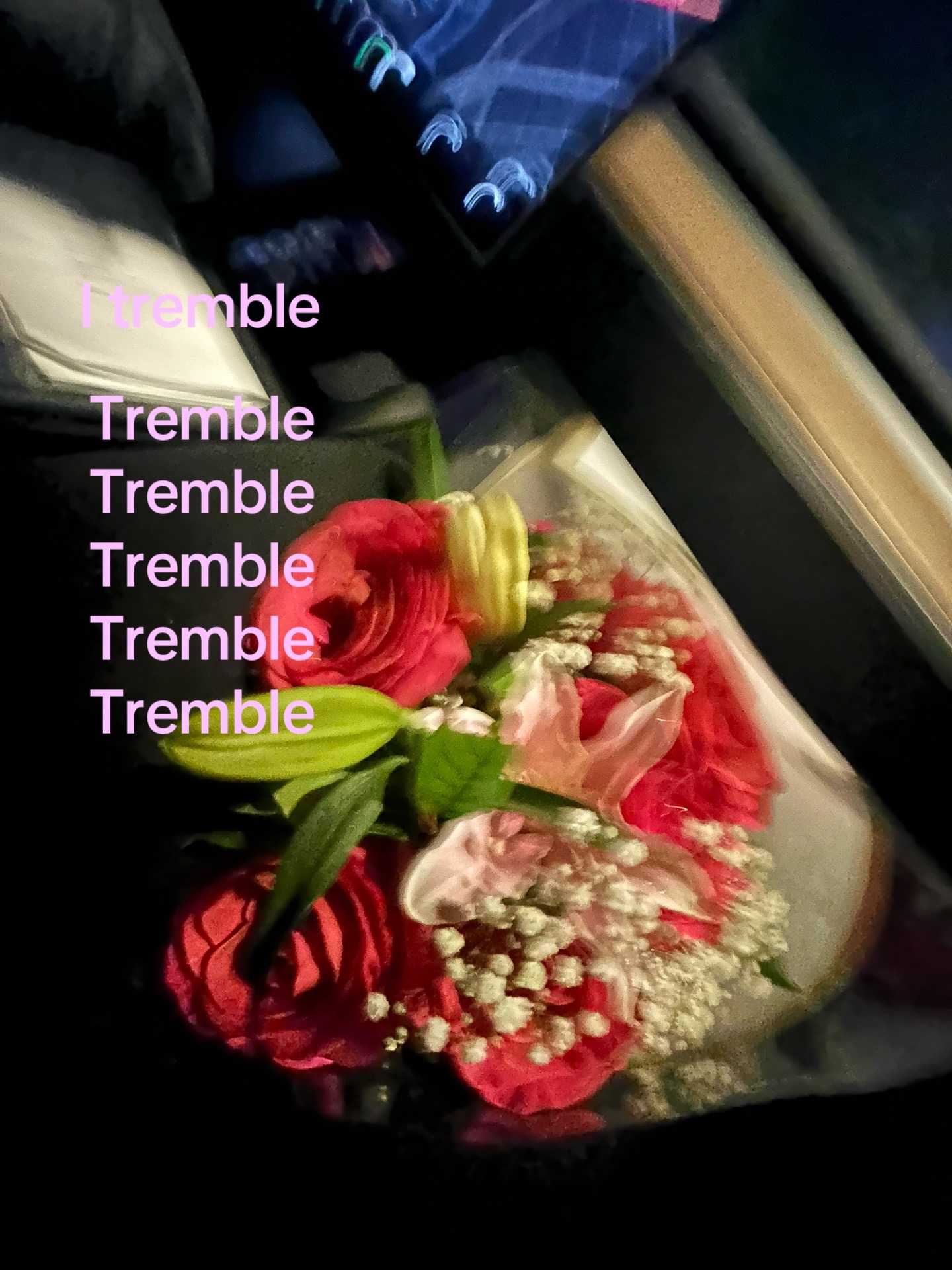 @🌺✨S✨🌺