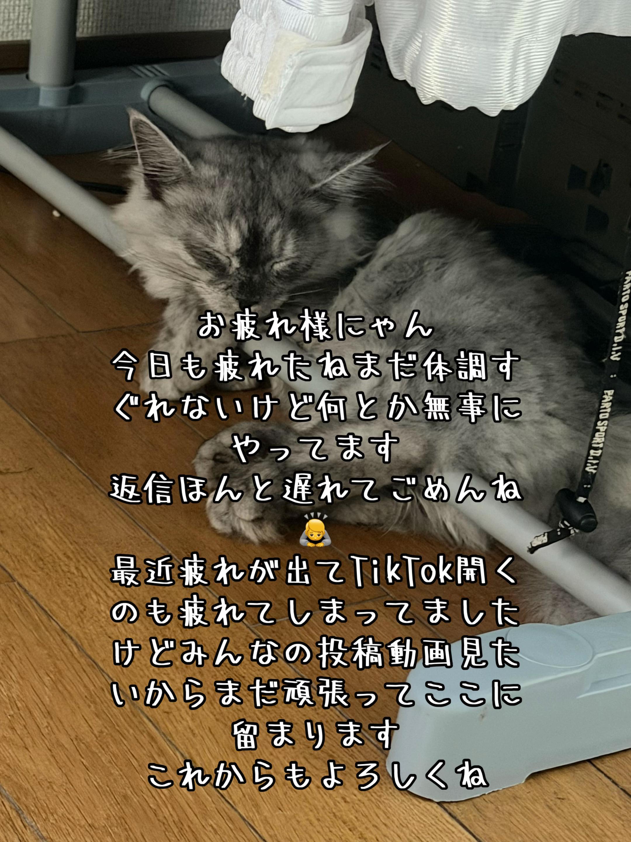 @ð¥é»æŸ€æ£å¿ð¥
