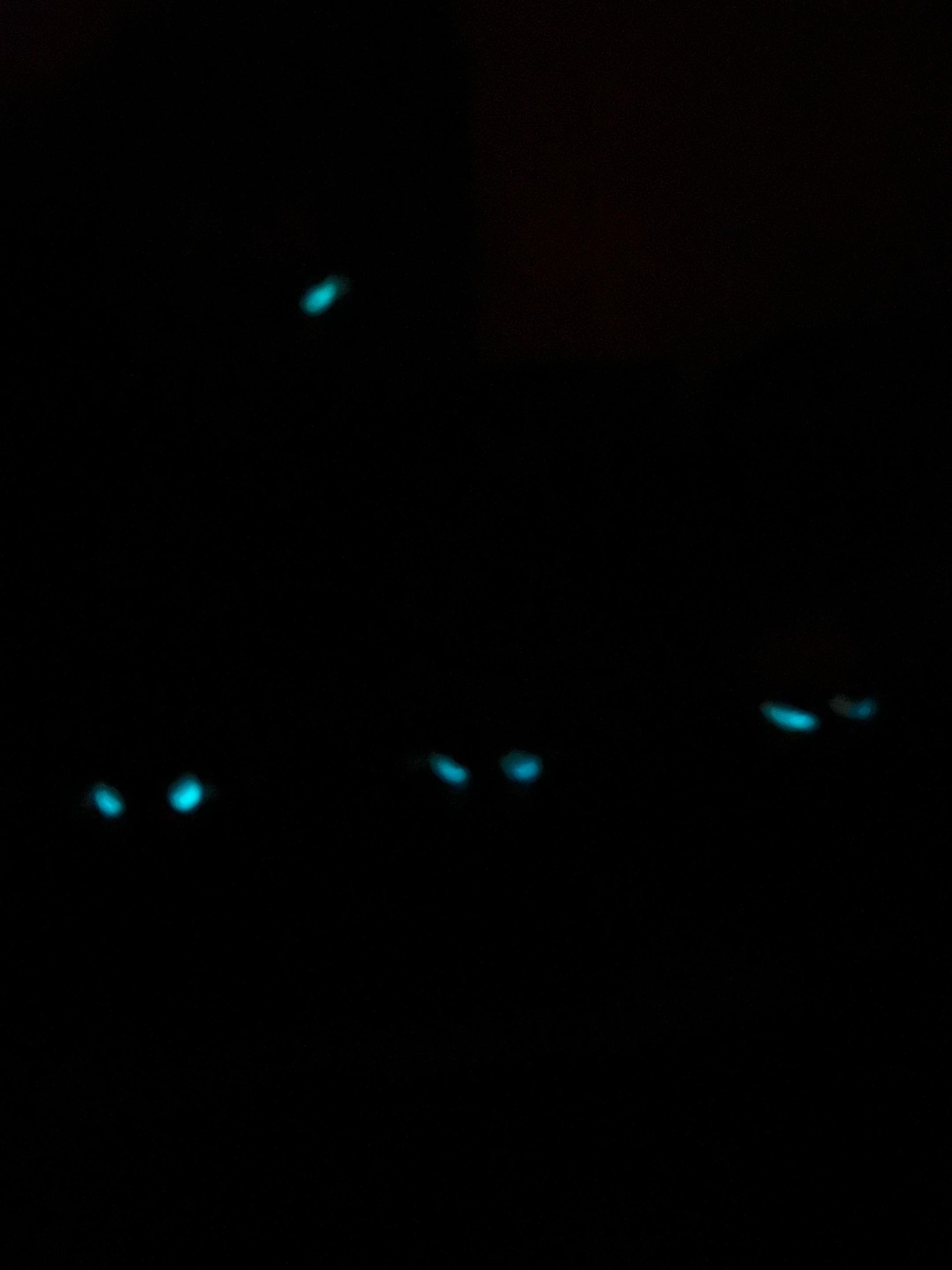 @Glamrock Galaxy Kitty30