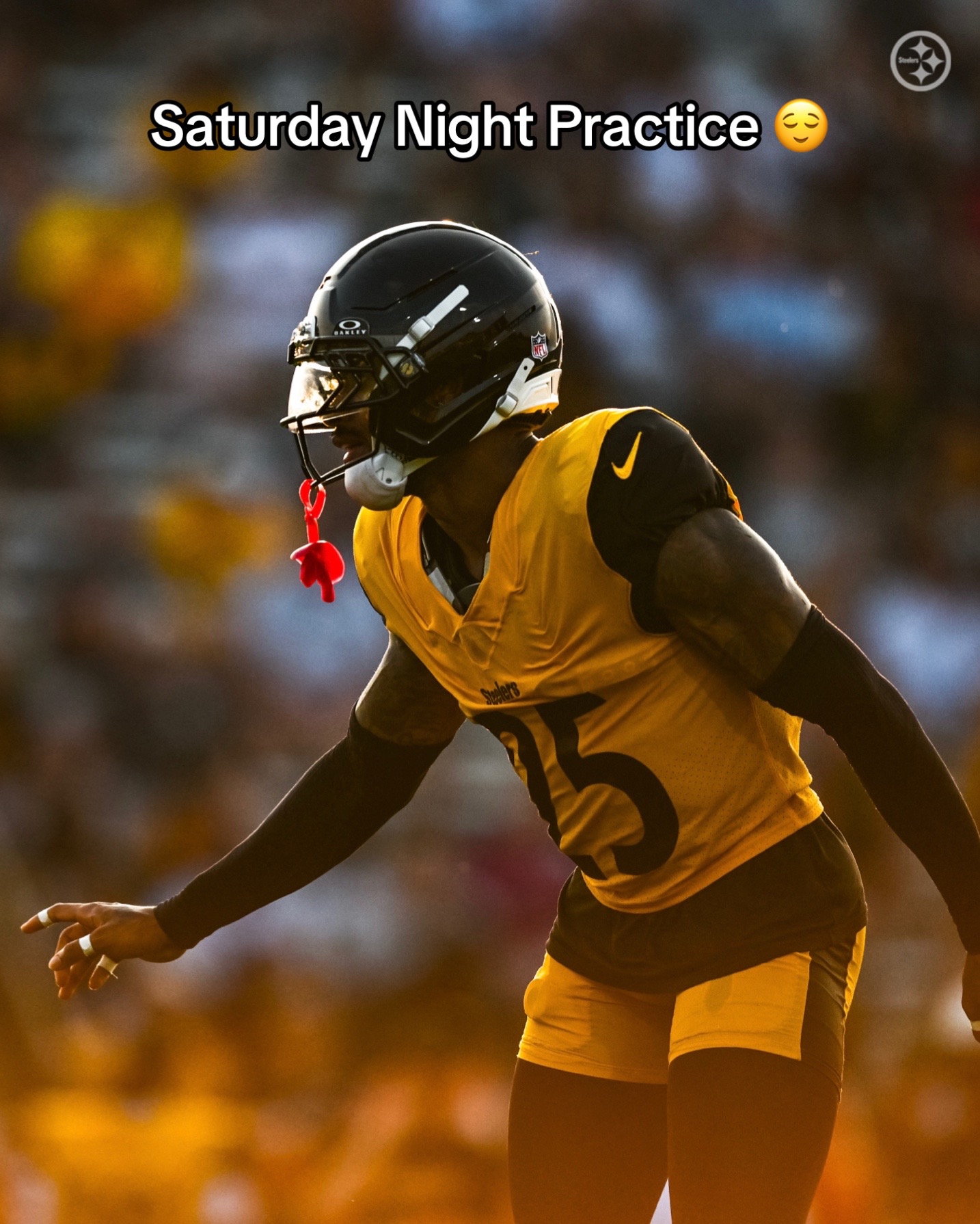 @Pittsburgh Steelers