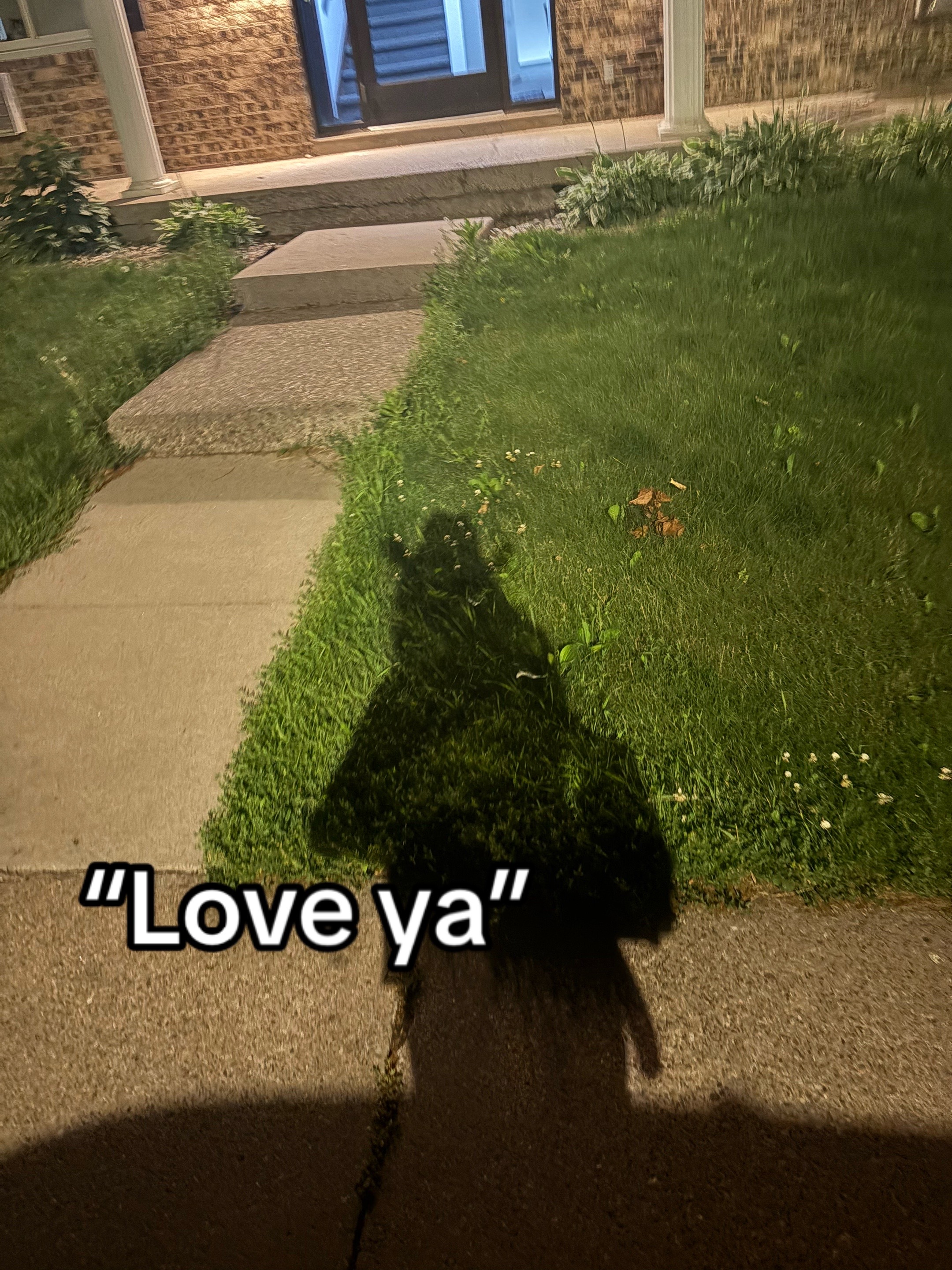 @nox