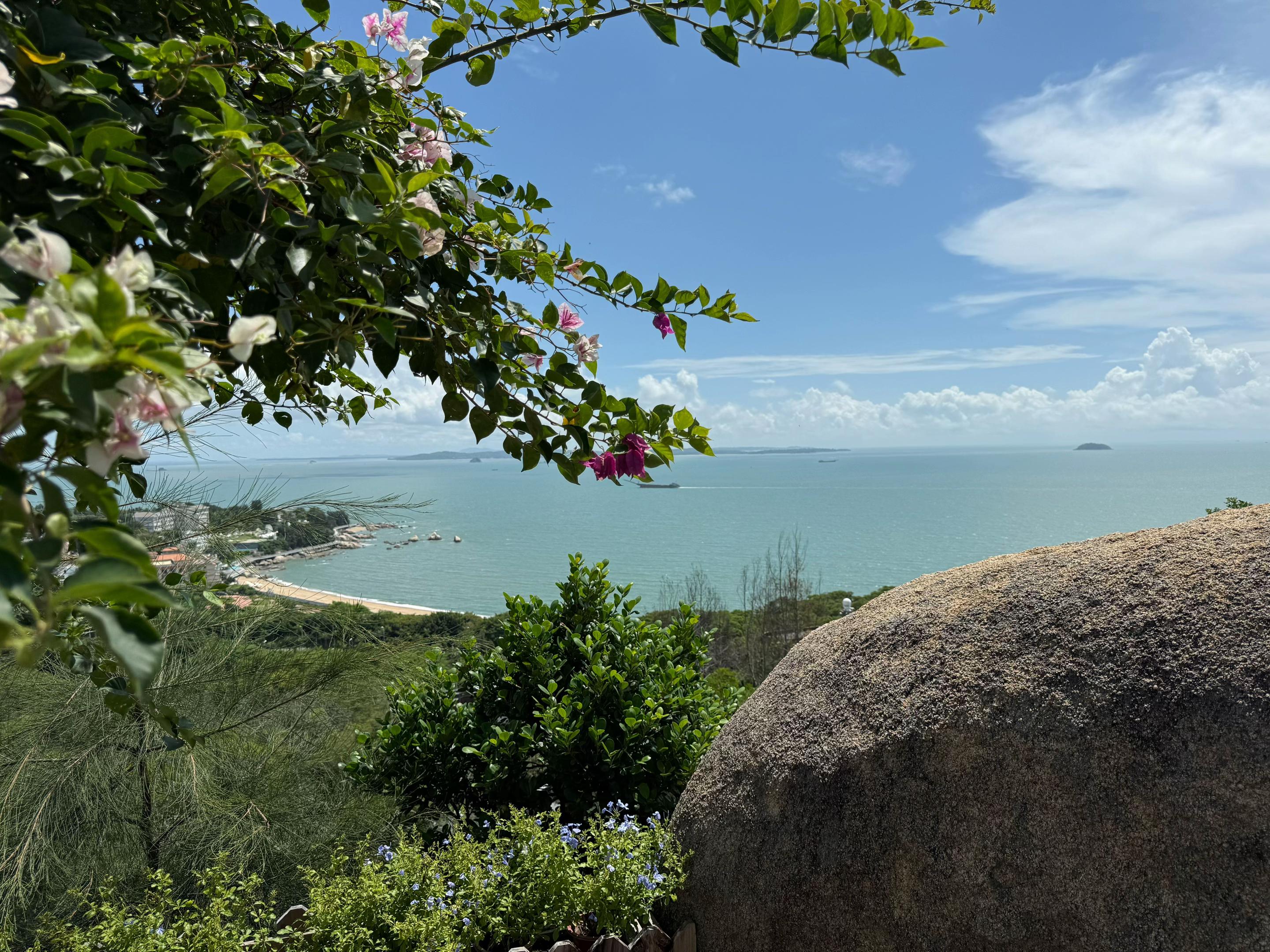 @才氣橫溢