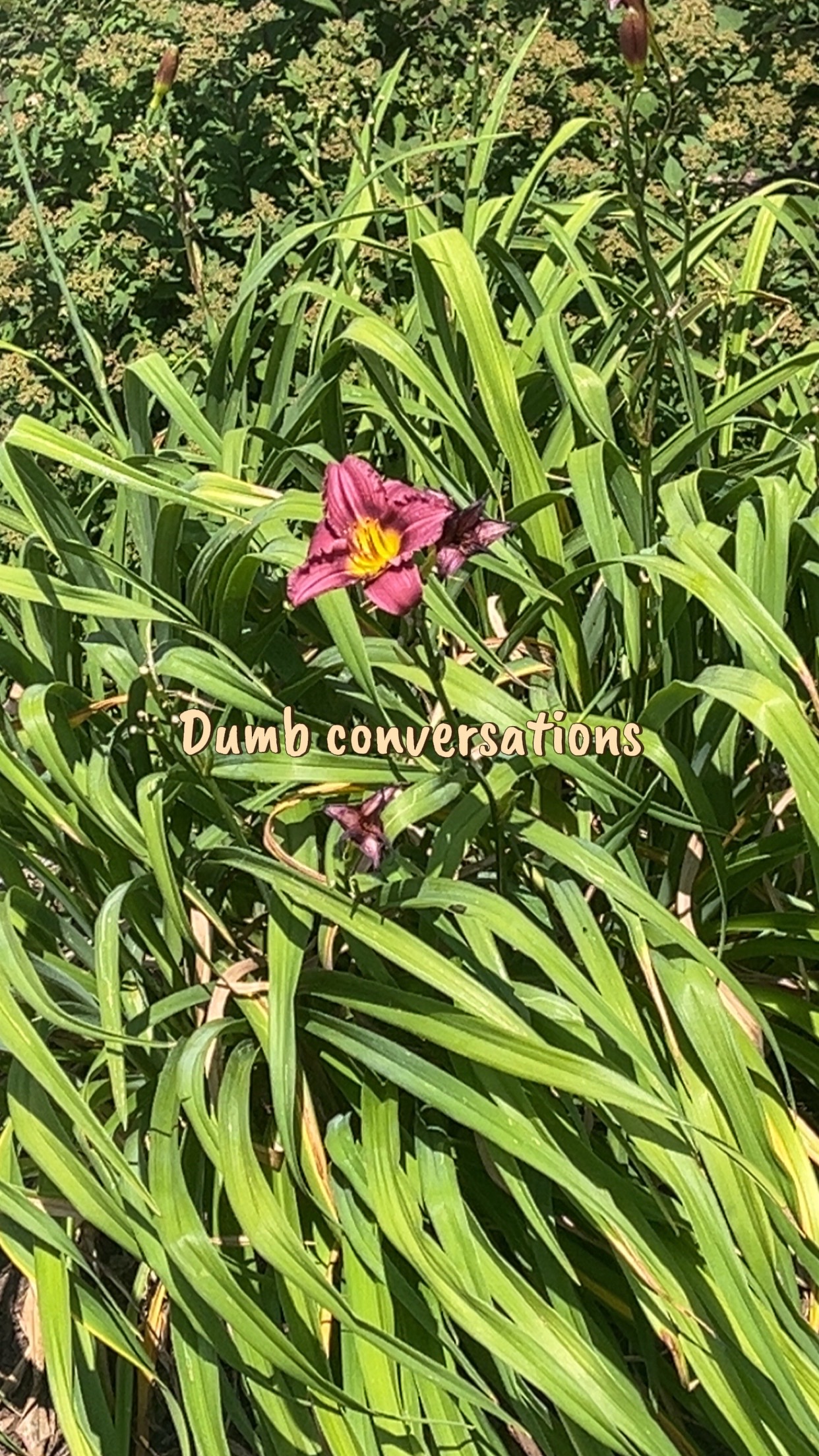 @𝓜𝓲𝓪 𝓑𝓻𝓸𝓾𝓲𝓵𝓵𝓮𝓽𝓽𝓮