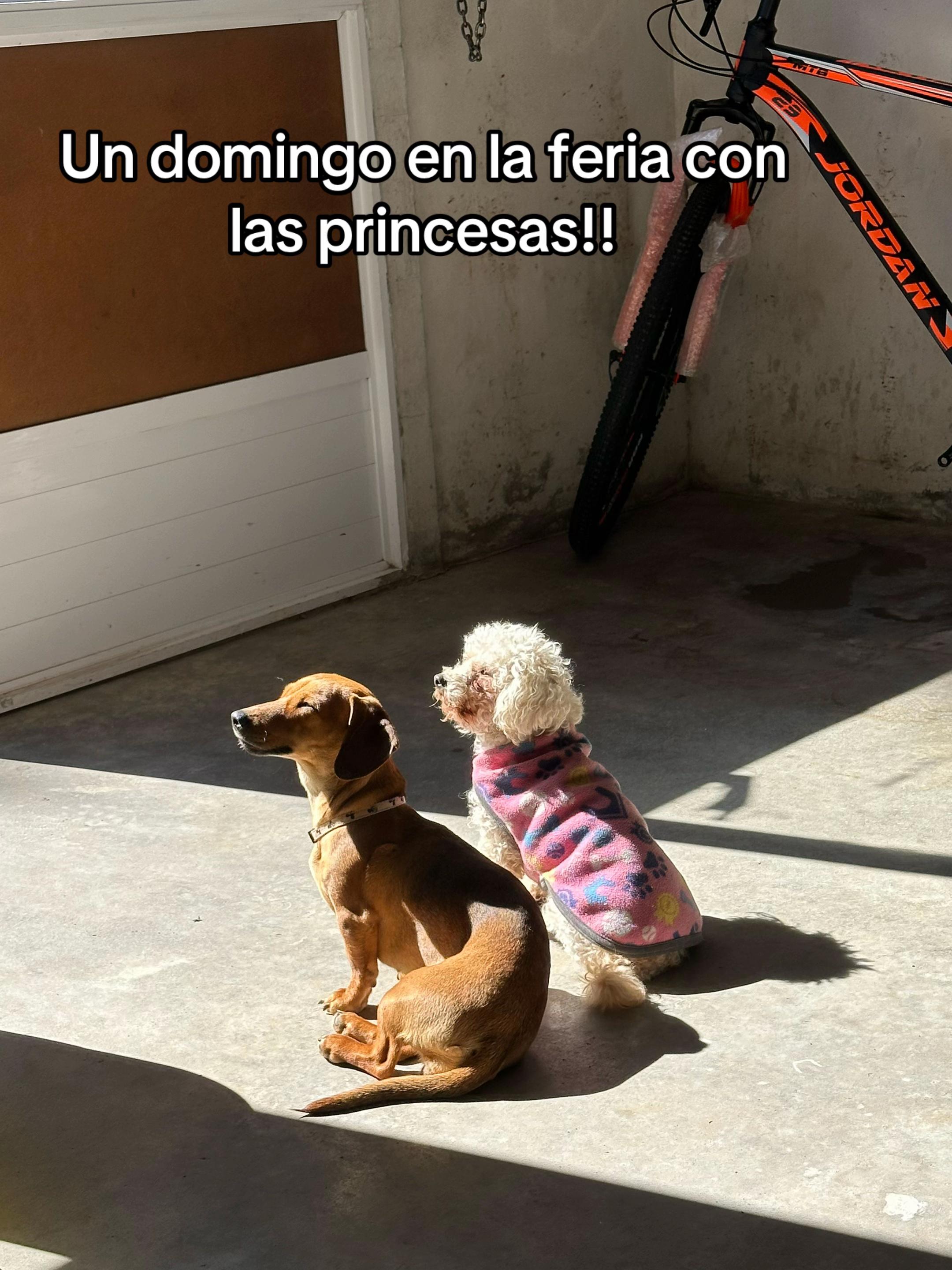 @_🧸_oxa