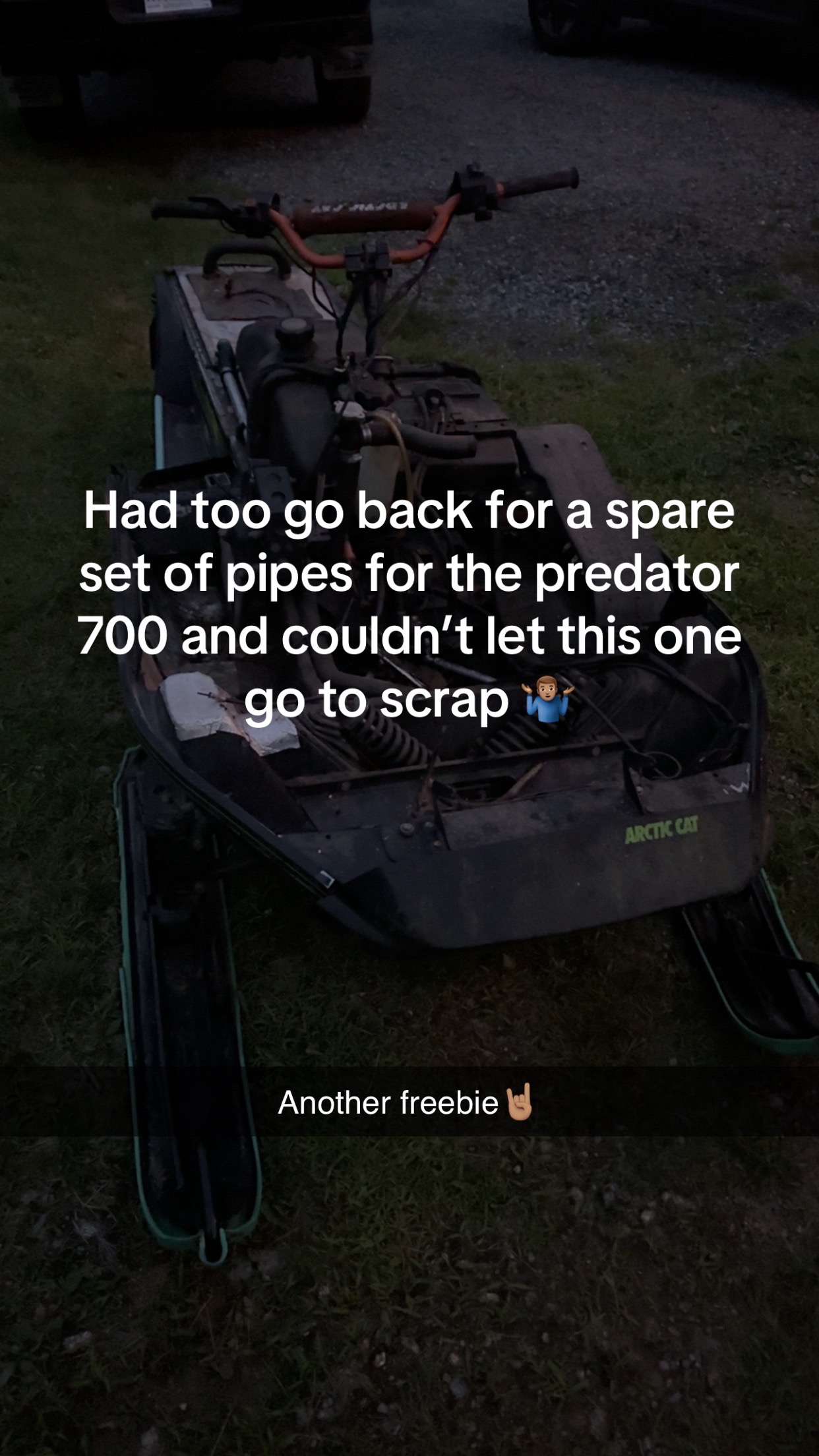 @Arcticcatmatt