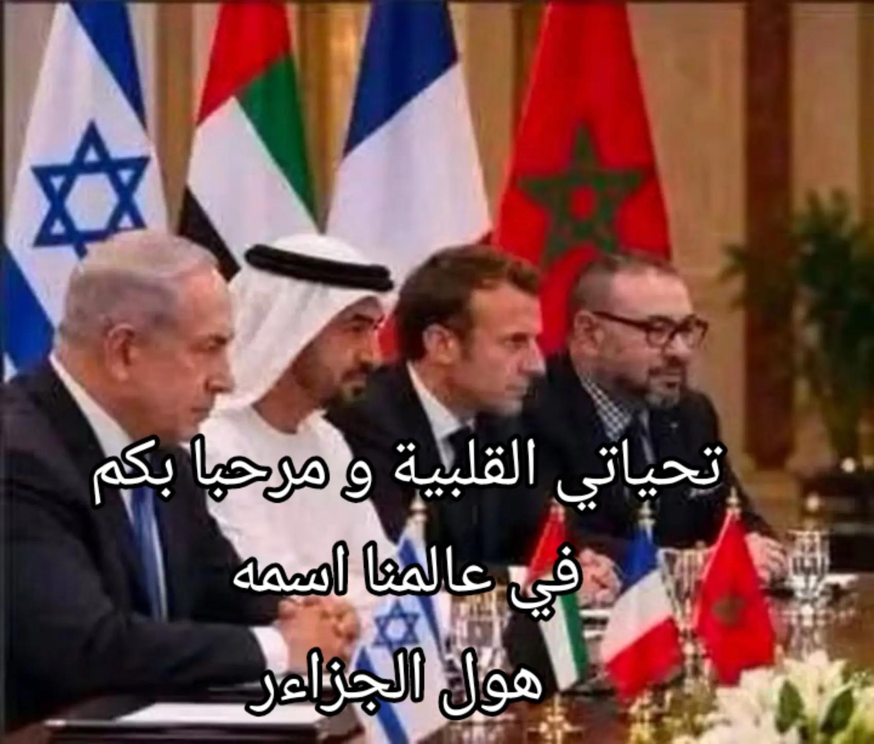 @greenzone16