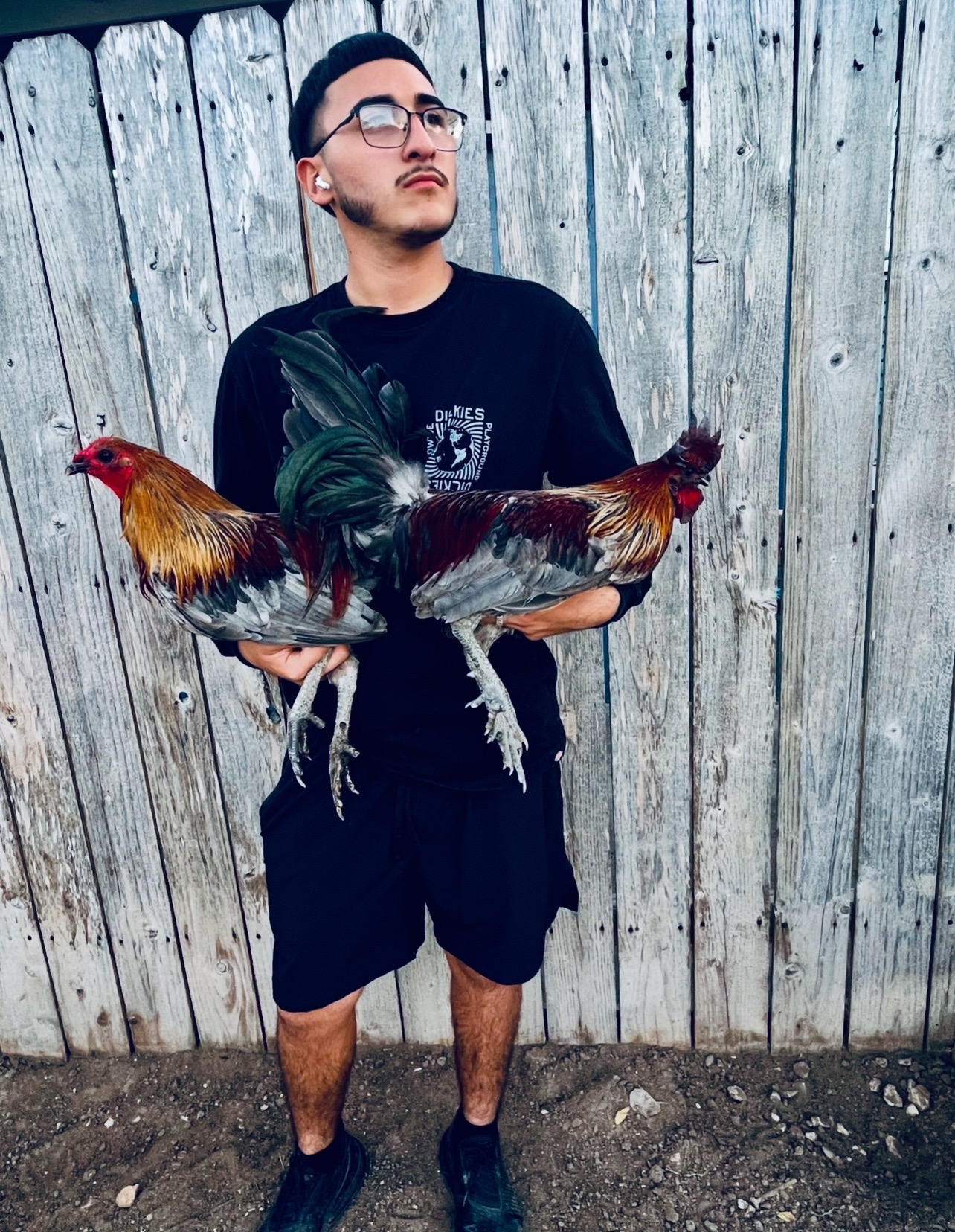 @Venturas mug gamefowl