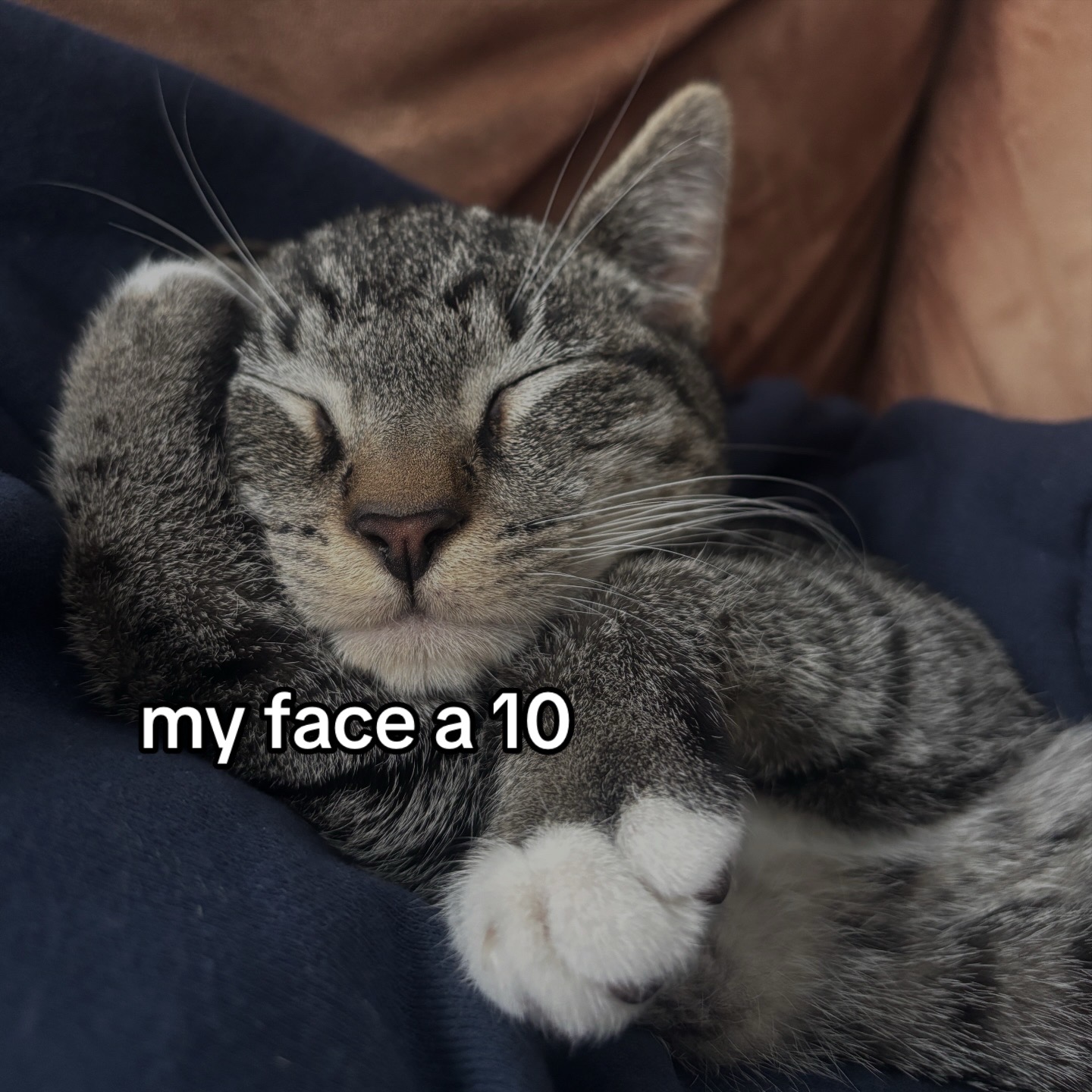 @corryn