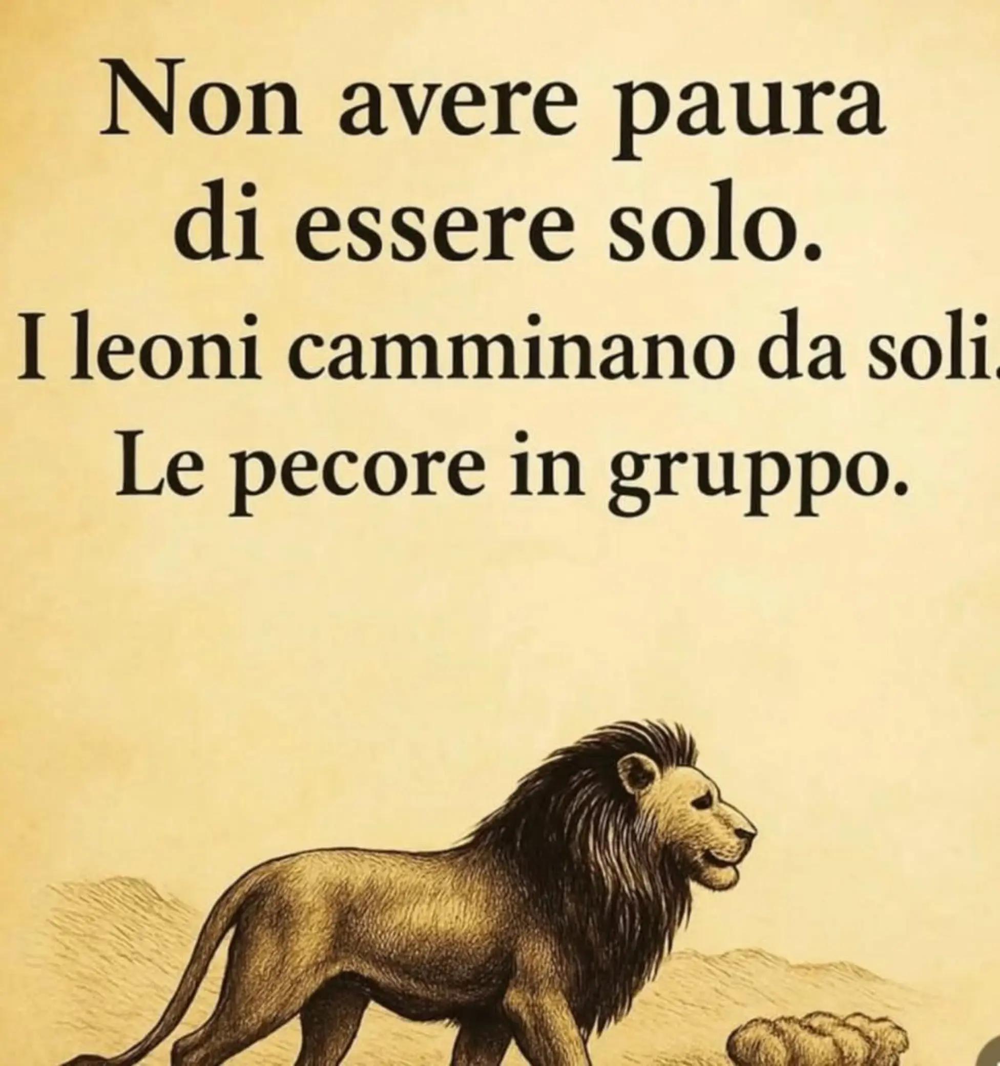 @Giulia