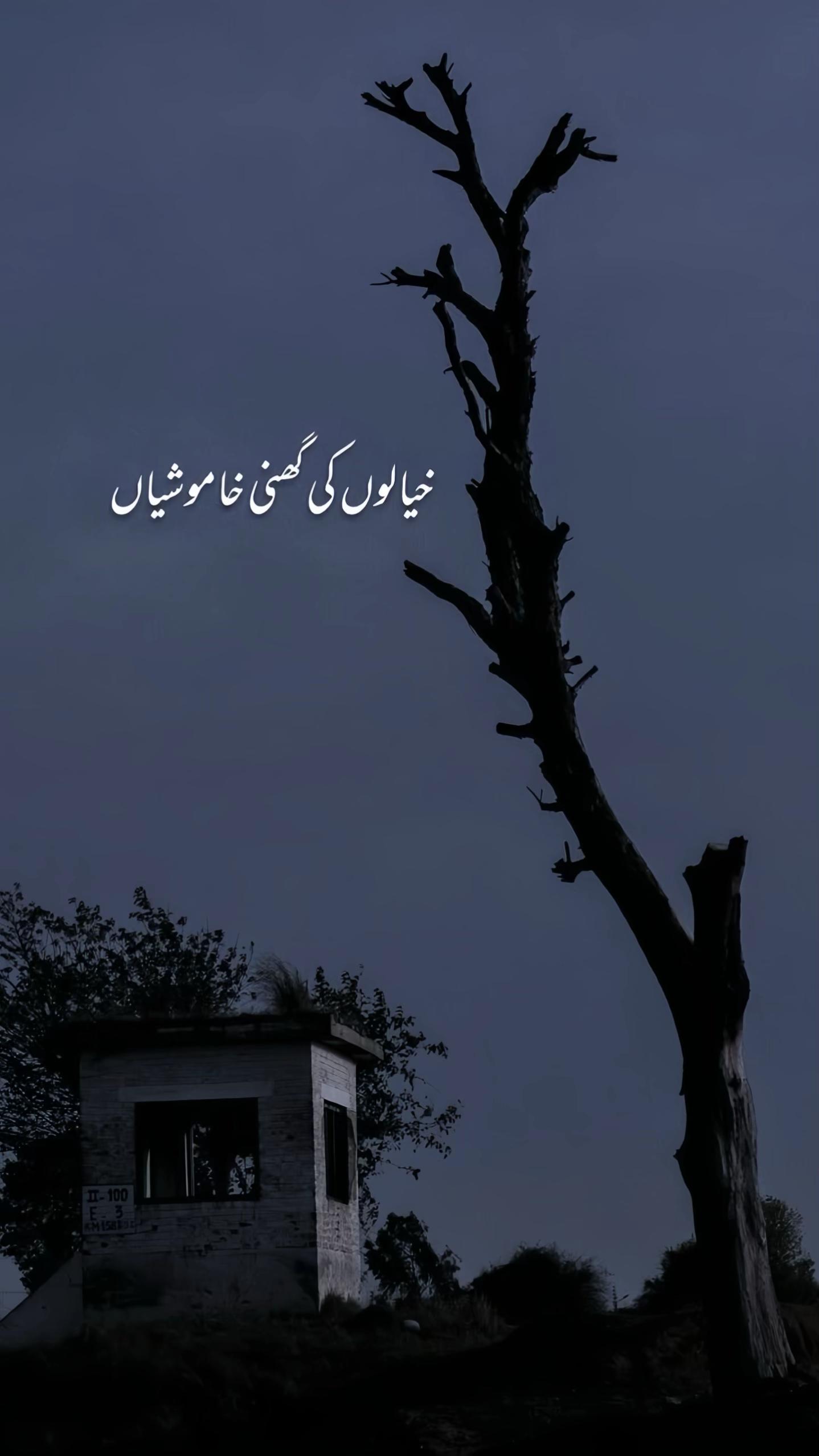 @AQIB MALIK🍃📖💫