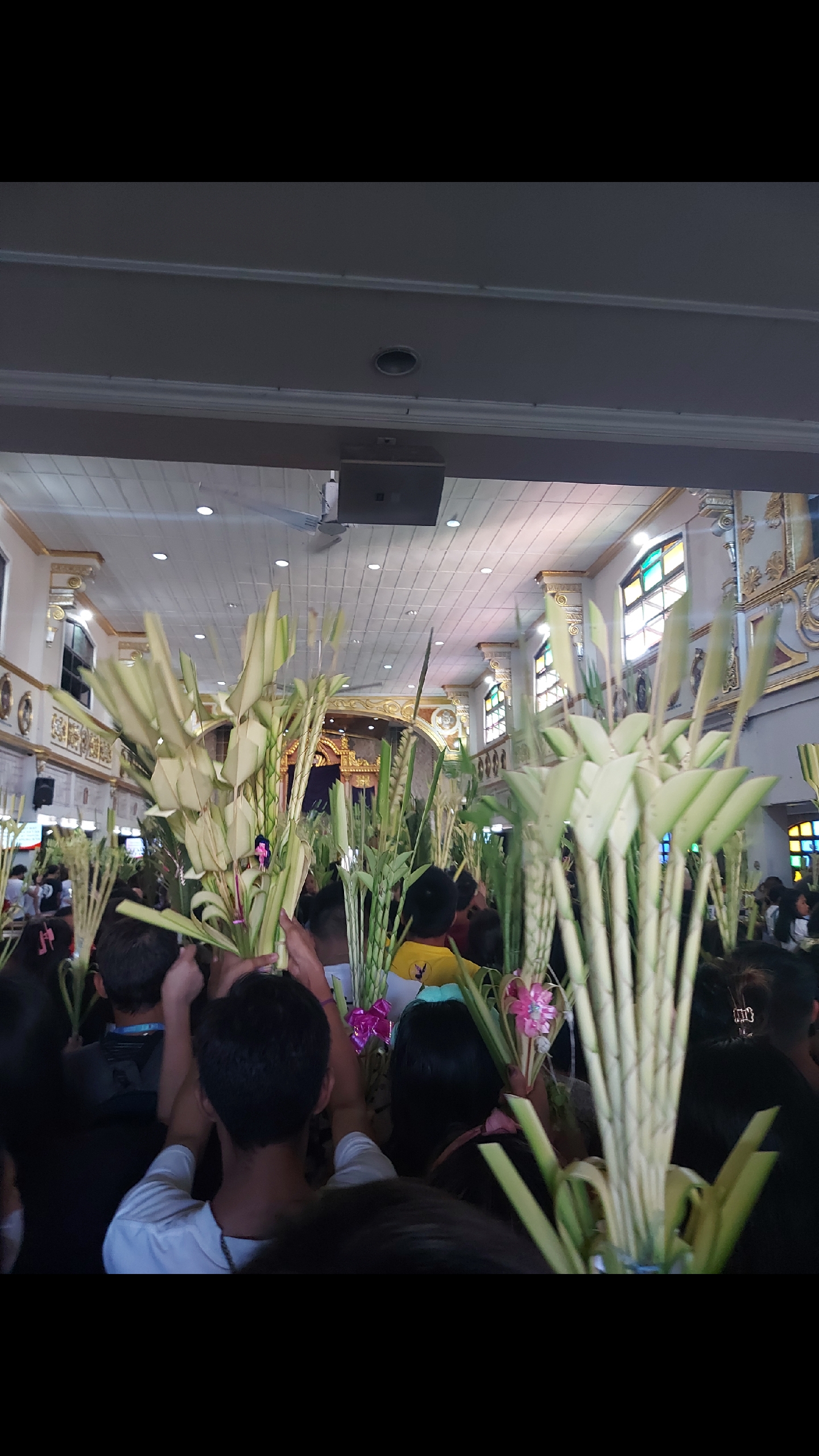 @chubby lng sakalam
