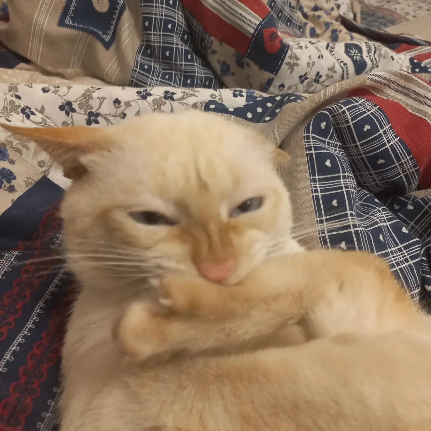 @Олег
