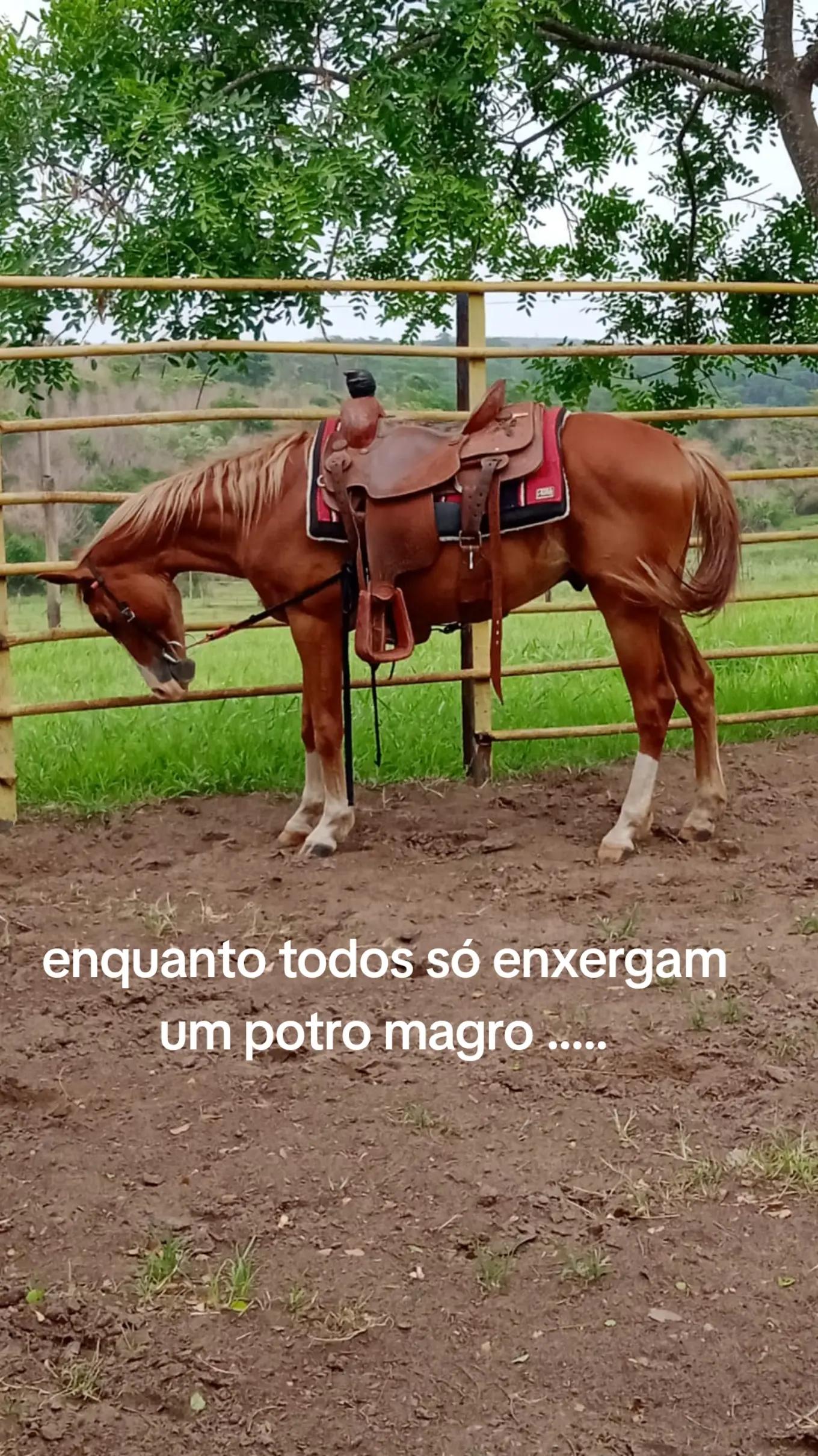 @Aline Santos Queiroz