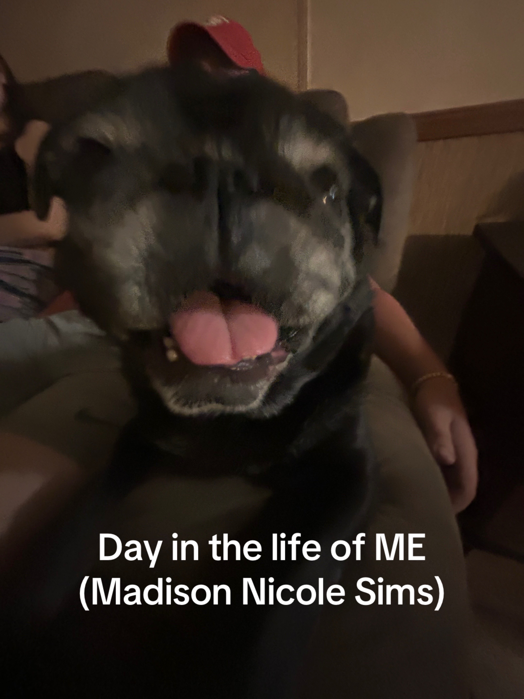 @maddiee.sims