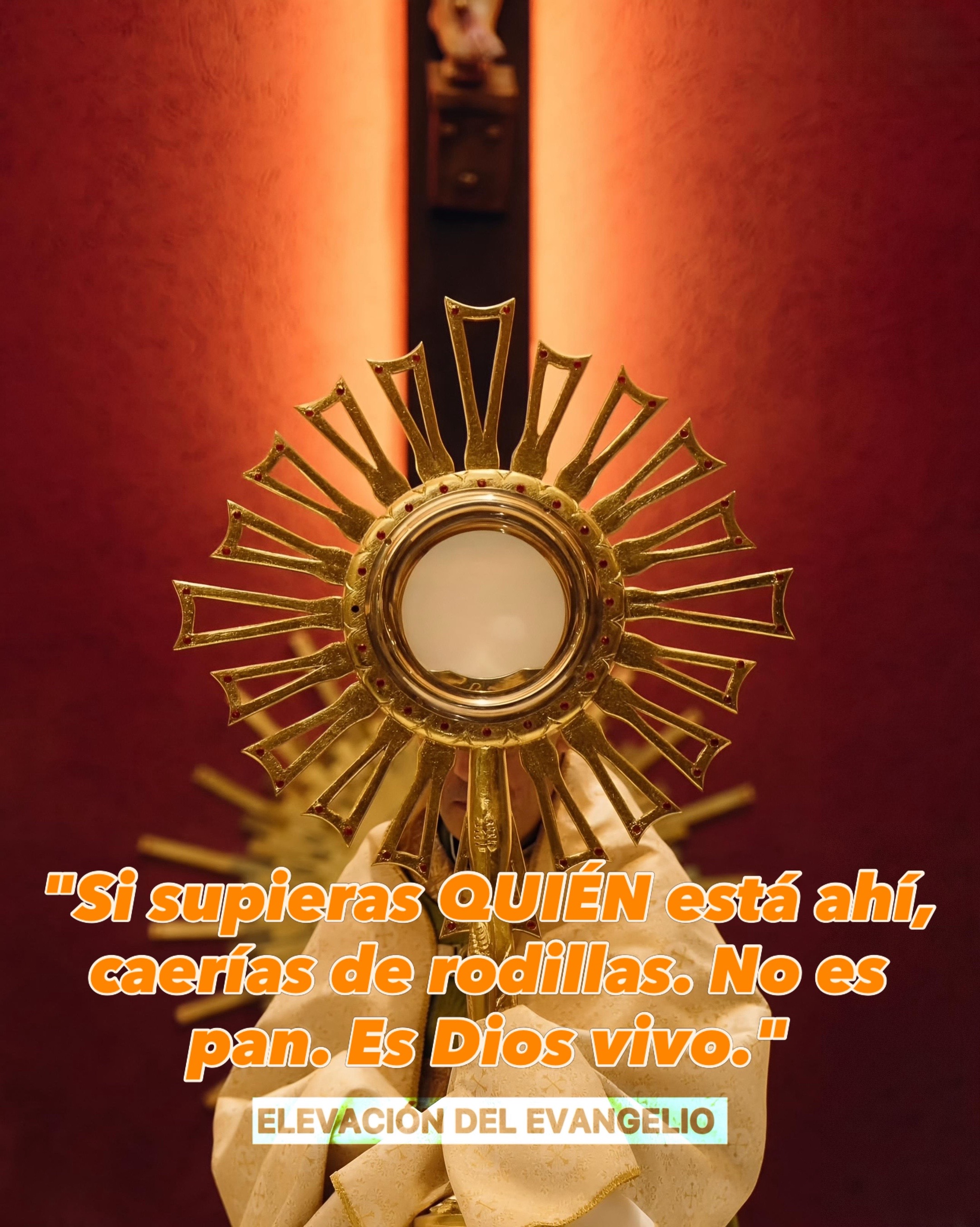 @Elevaci&oacute;n Del Evangelio