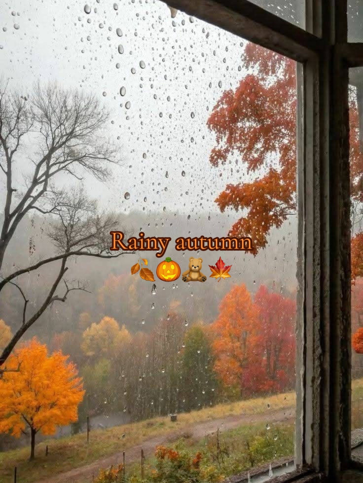 @🍂AUTUMNLOVER🍂