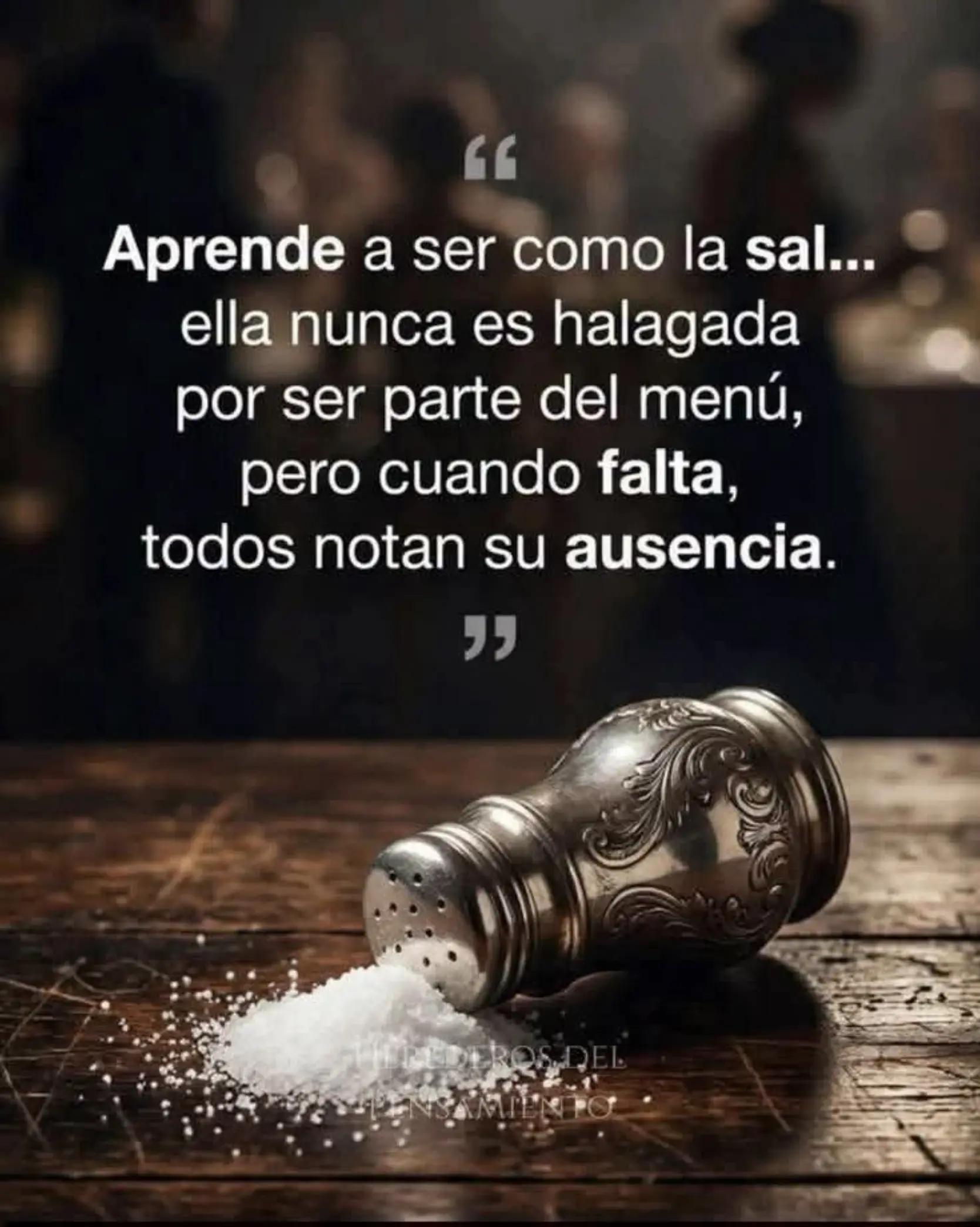 @Alexander✅️