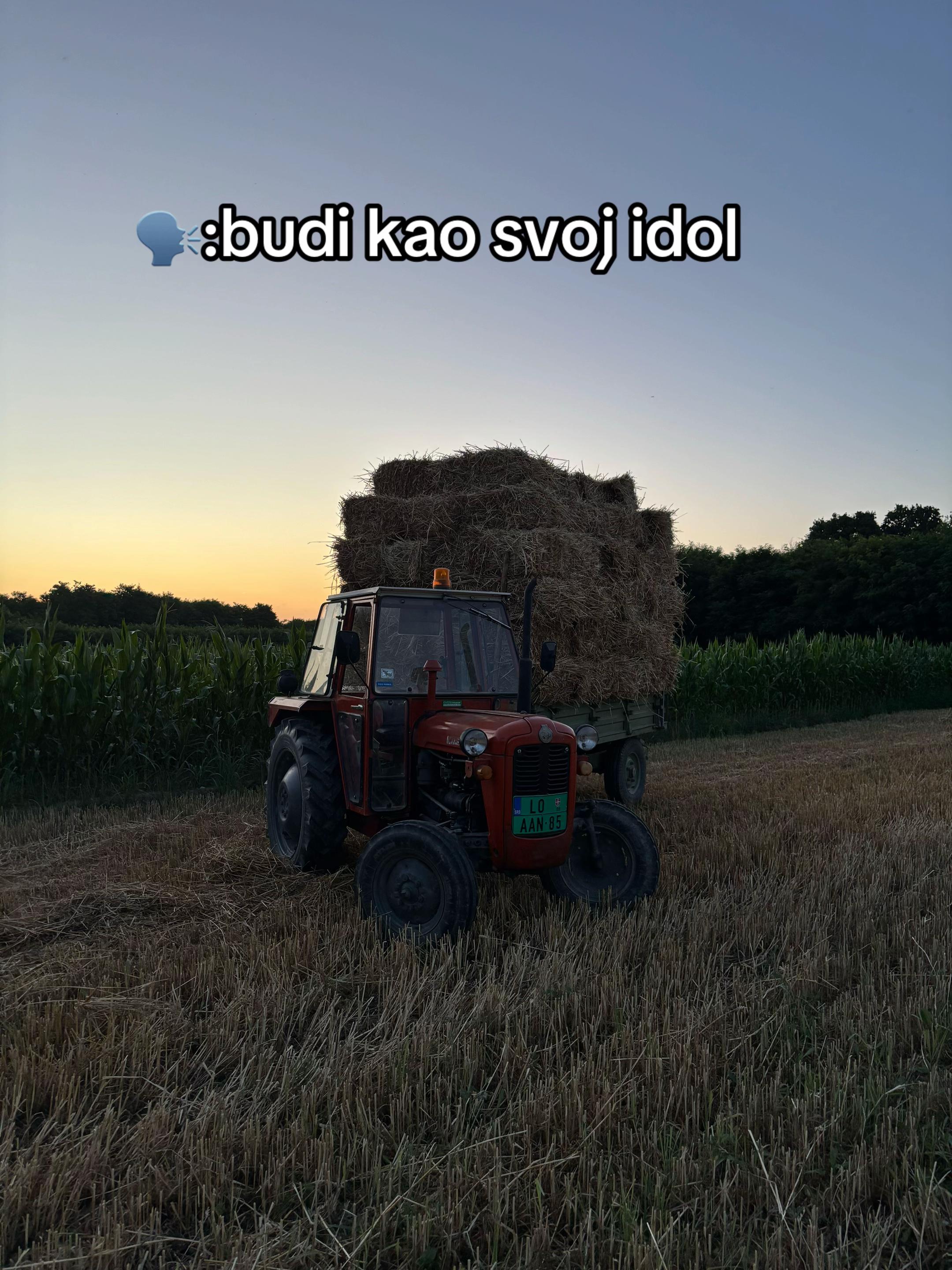 @pg_mihailovic01