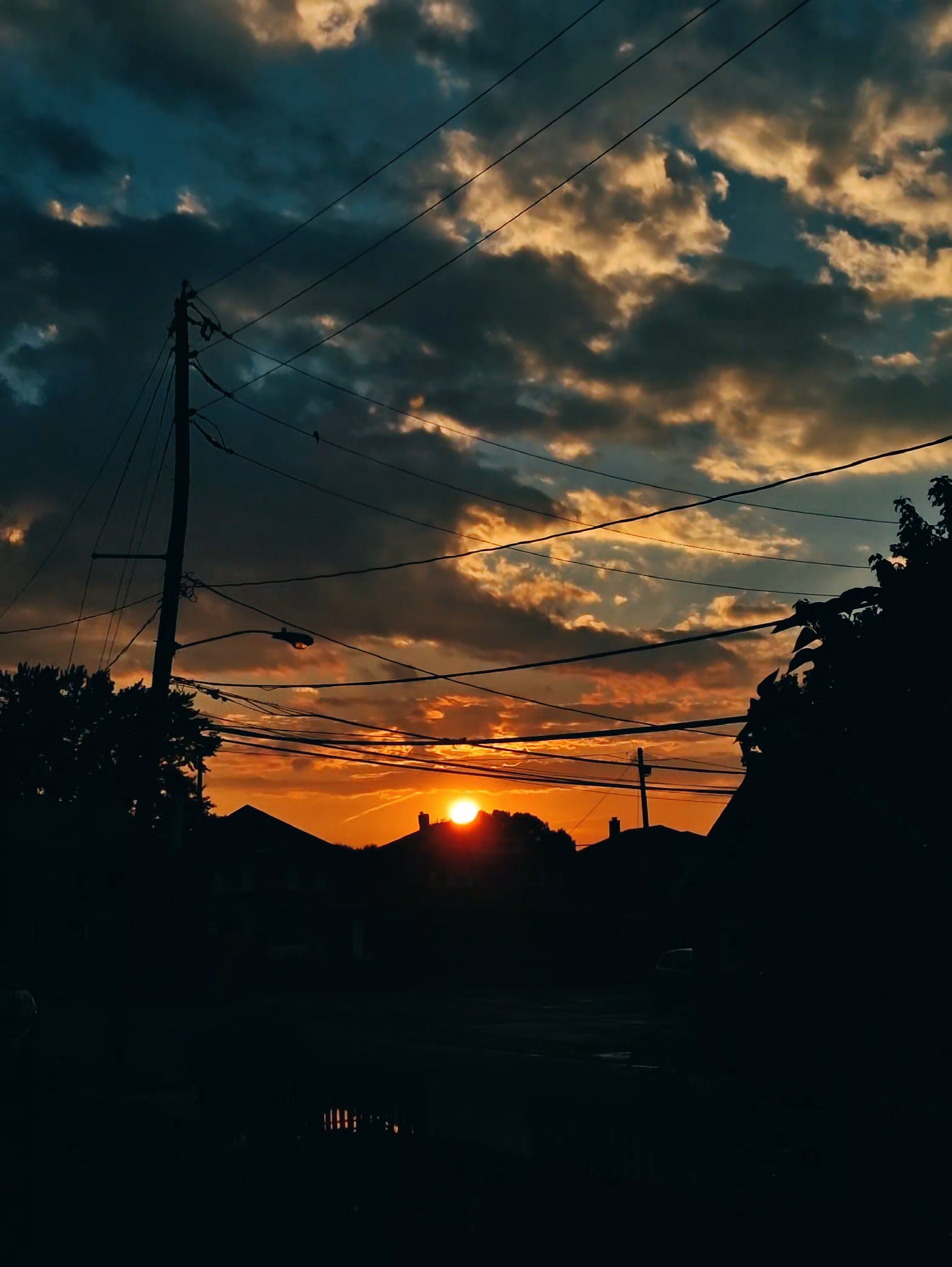 @ᴀʟɪꜱꜱᴀ🍀🪿