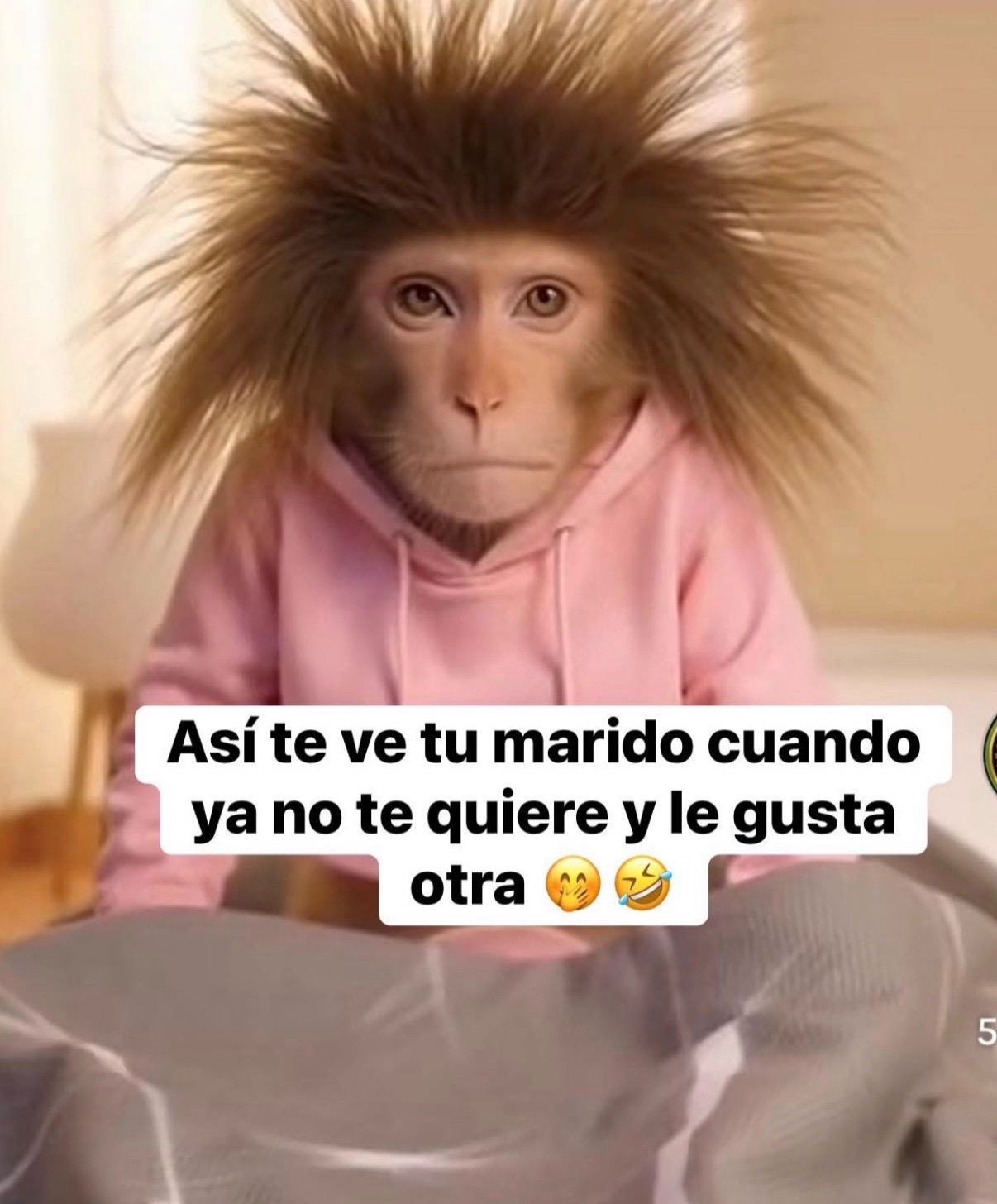 @Roxana