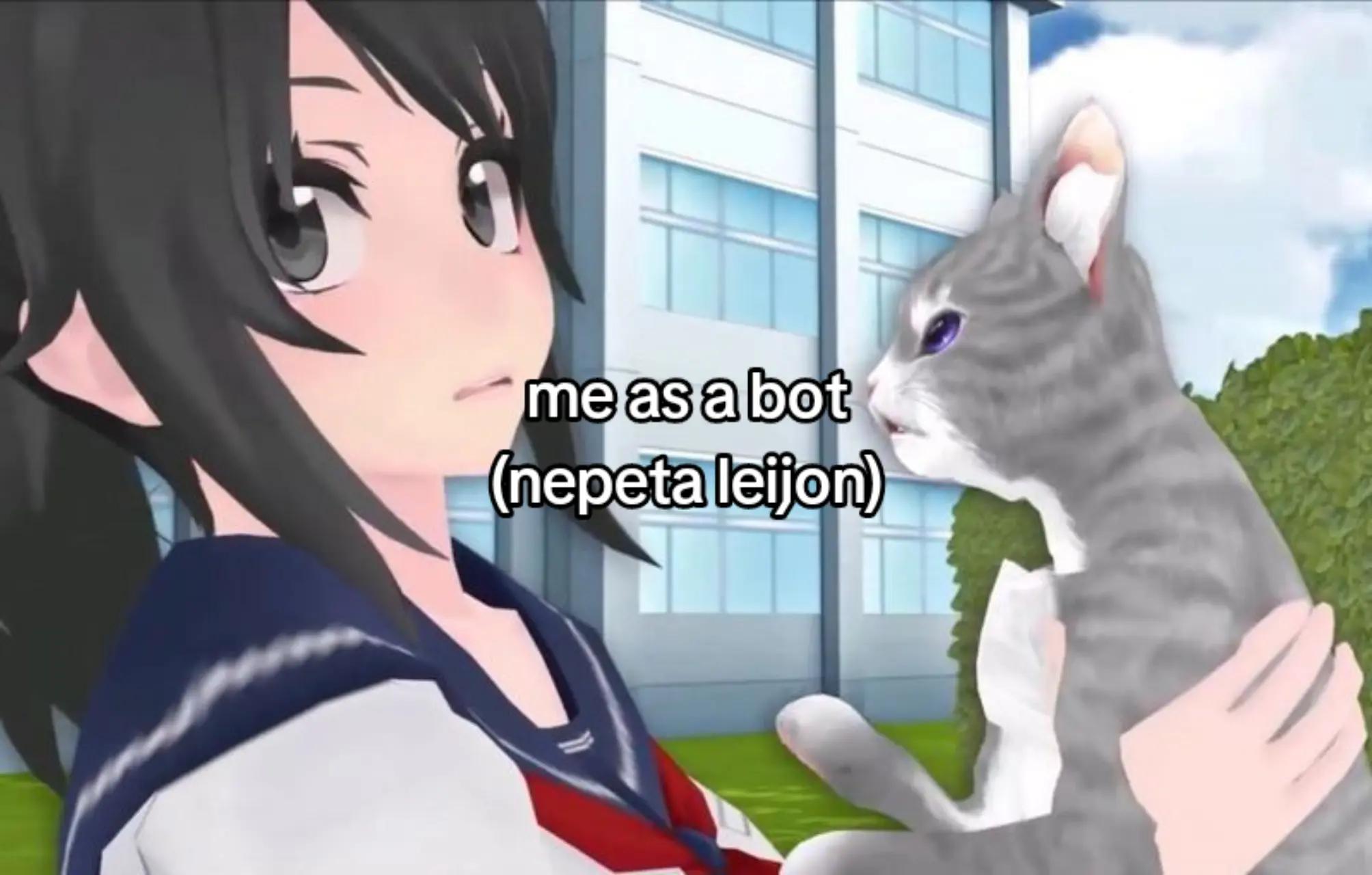 @𝚝𝚘𝚘 𝚖𝚊𝚗𝚢 𝚔𝚒𝚝𝚝𝚒𝚎𝚜