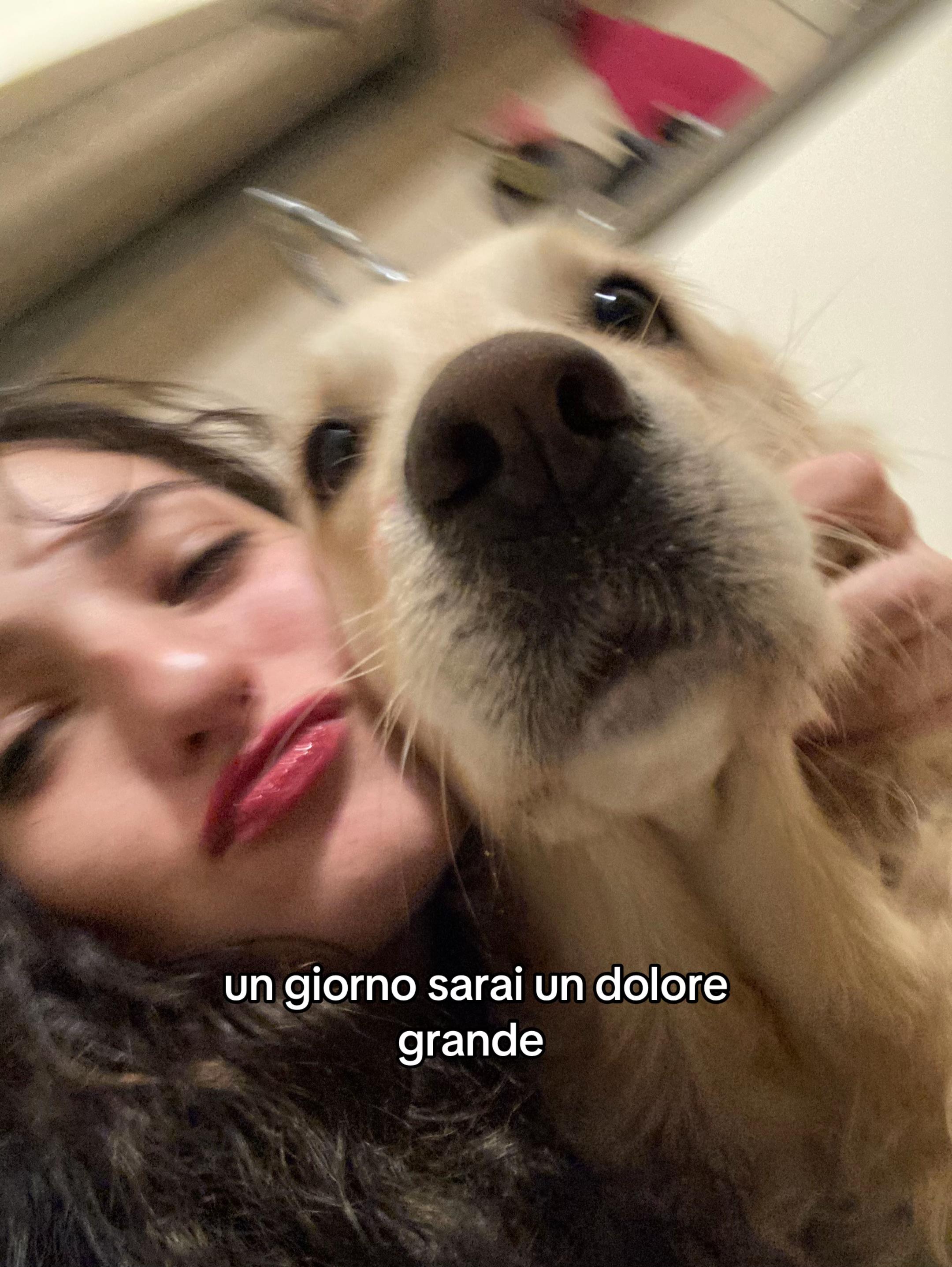 @mimimimi