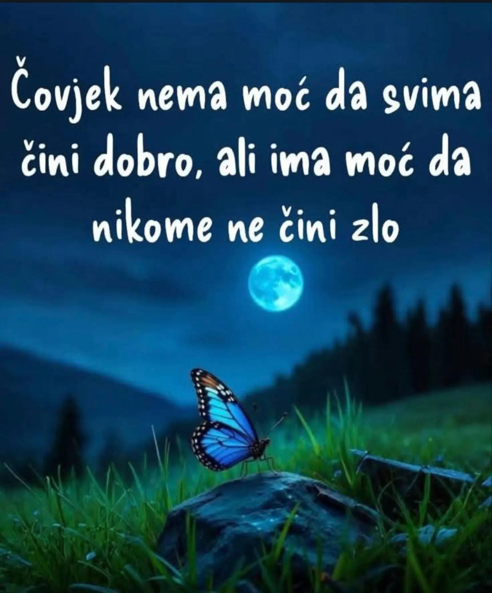 @💫Zvjezdica💫