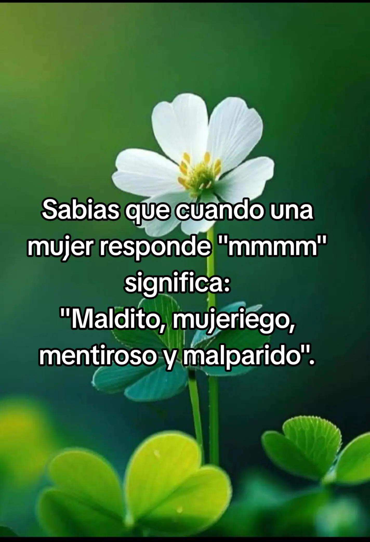 @⚘️Sam✨️