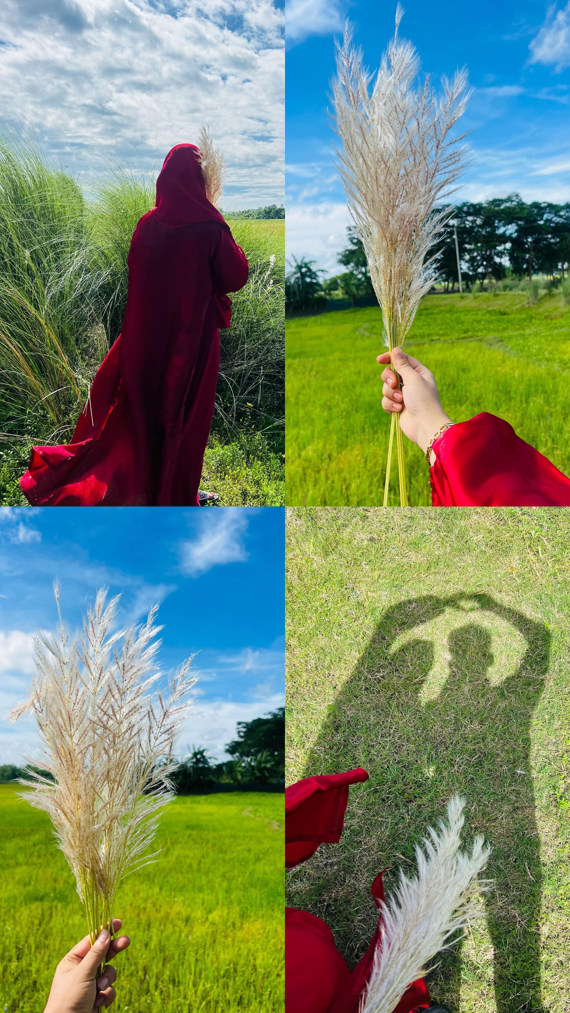 @Alpy hossain 🌻