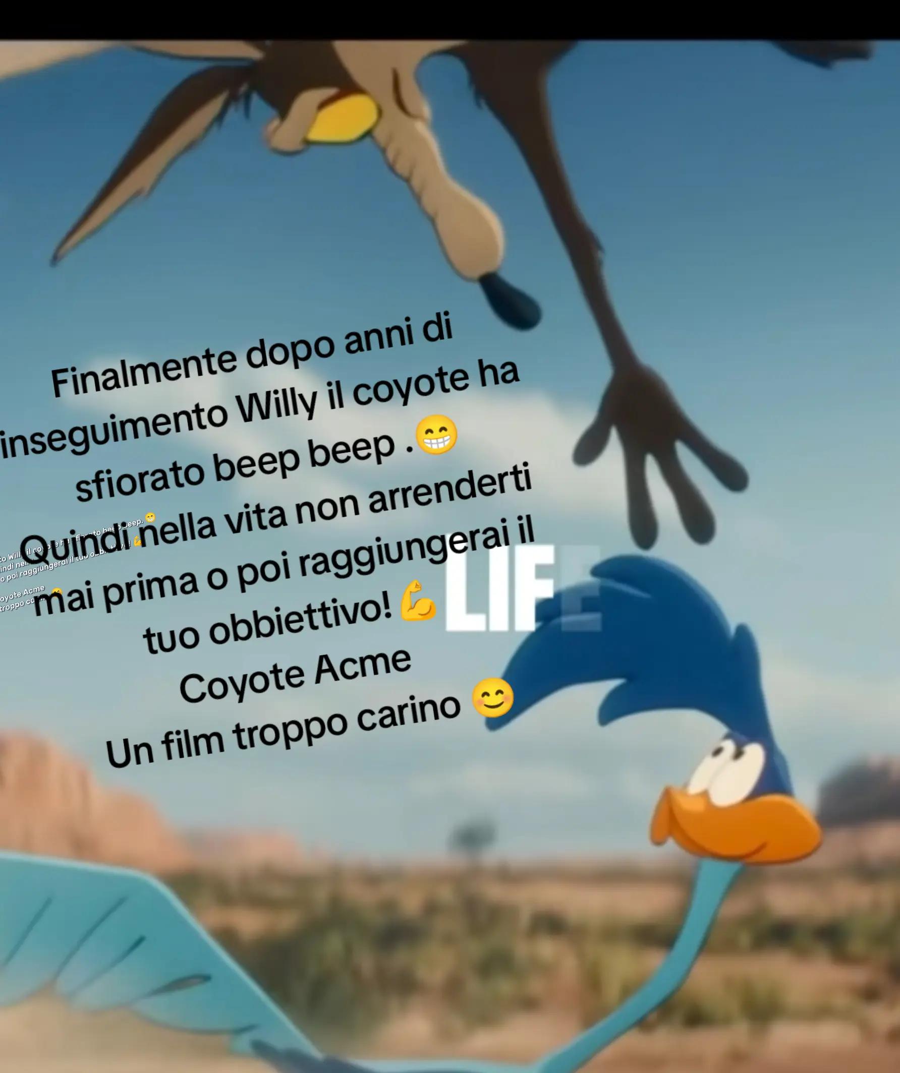 @Maria Giuffrida