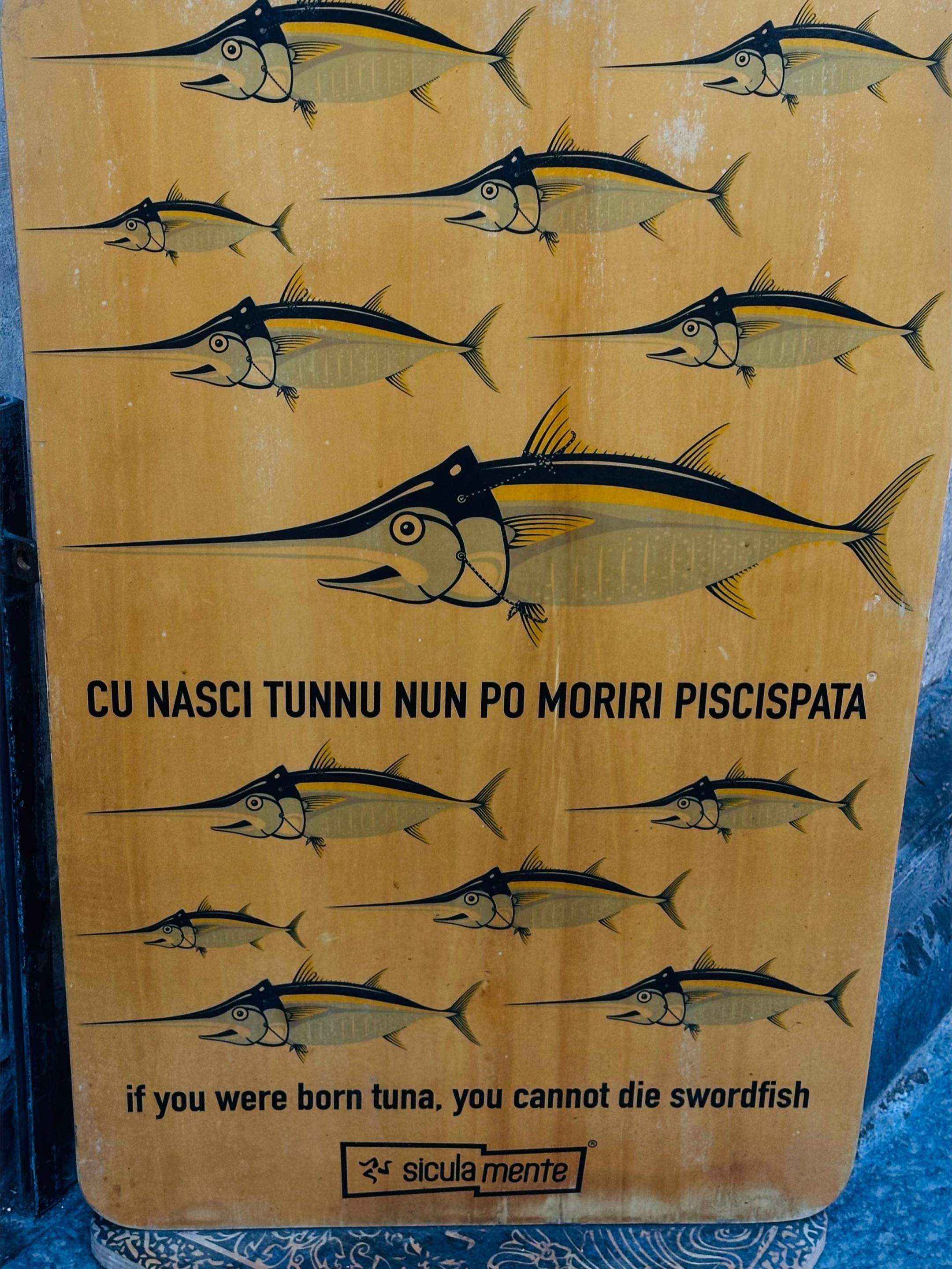 @Tizianannmollo