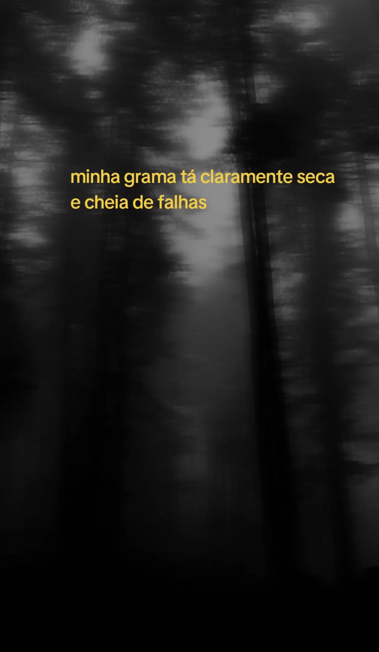 @🌊 .·:*¨Serays¨*:·. 🌊