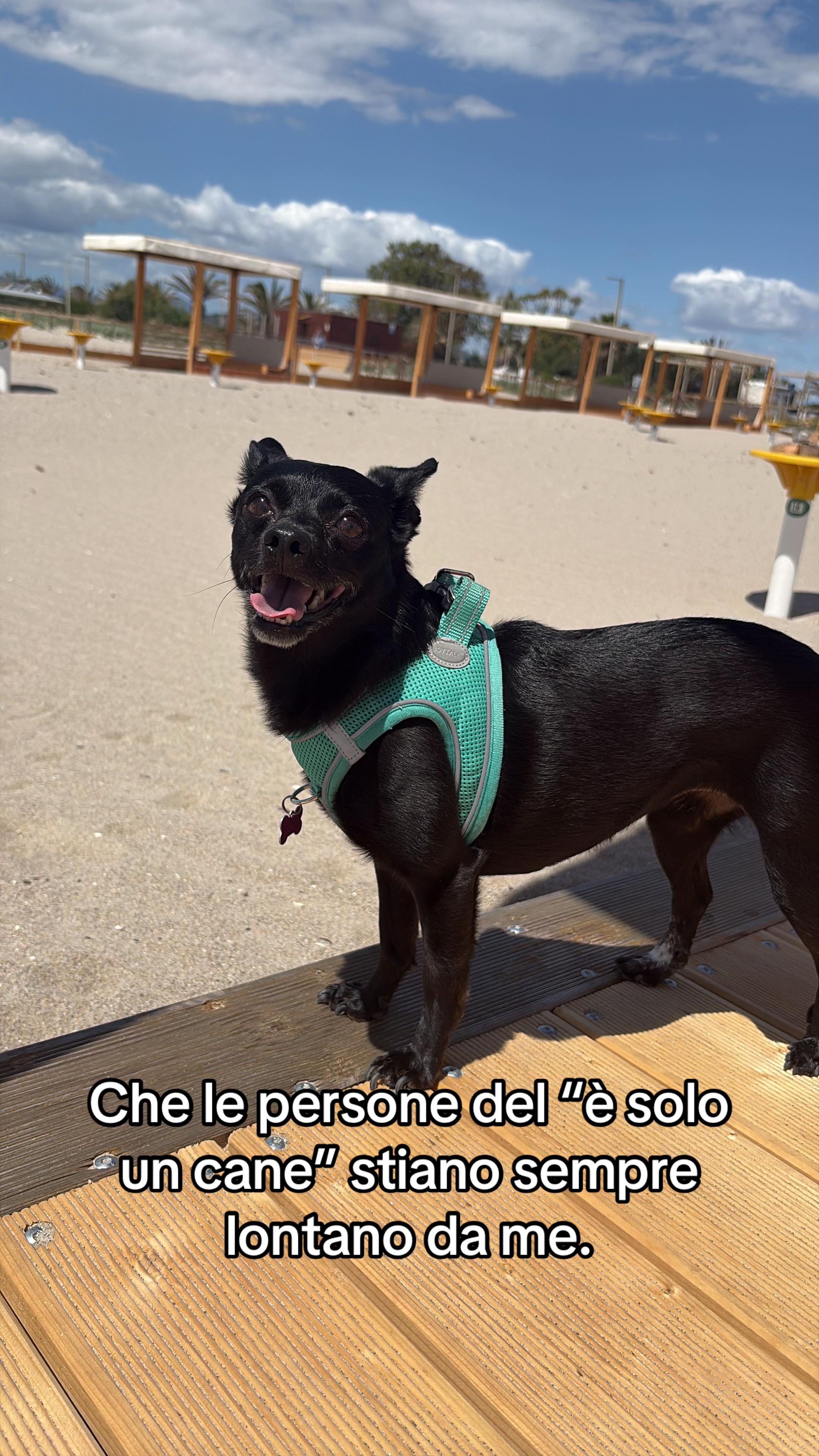 @Alice
