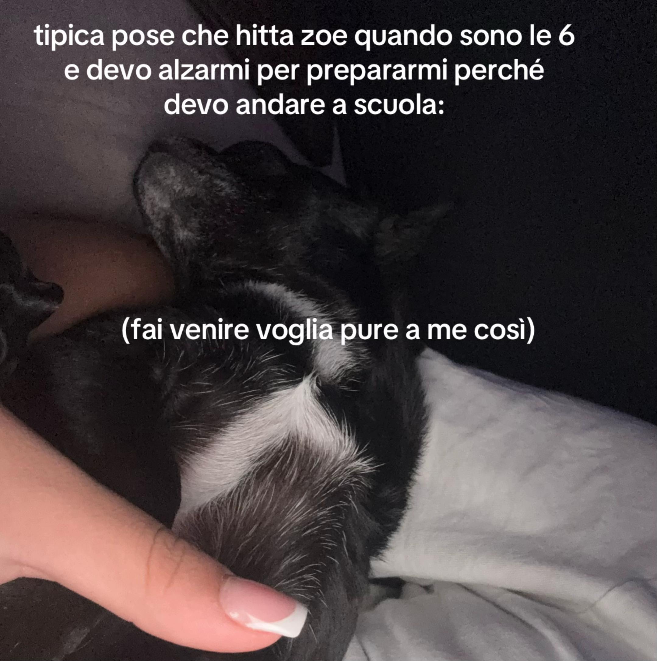 @𝐋𝐞𝐱𝐚🌟