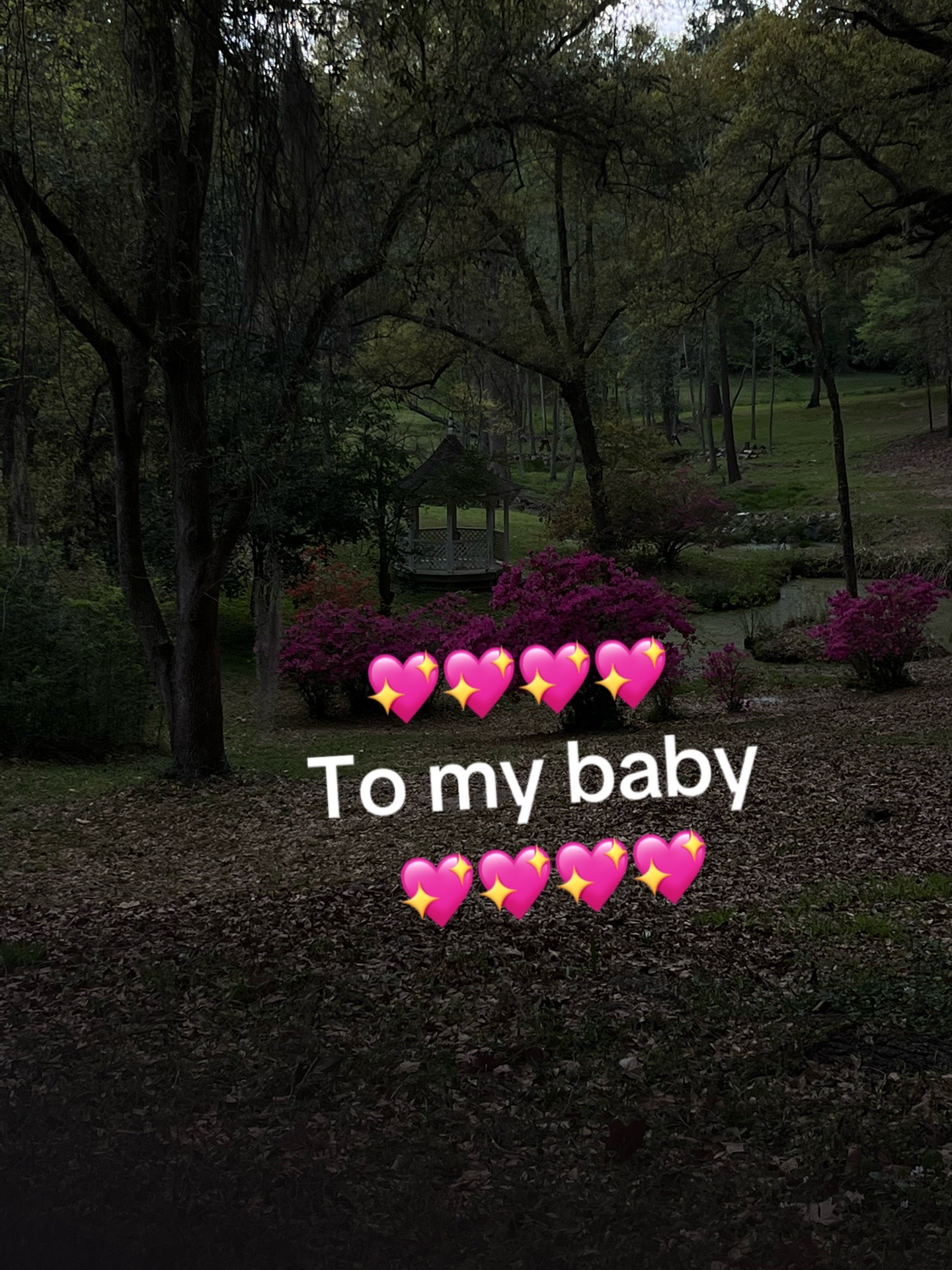 @yvlk5_