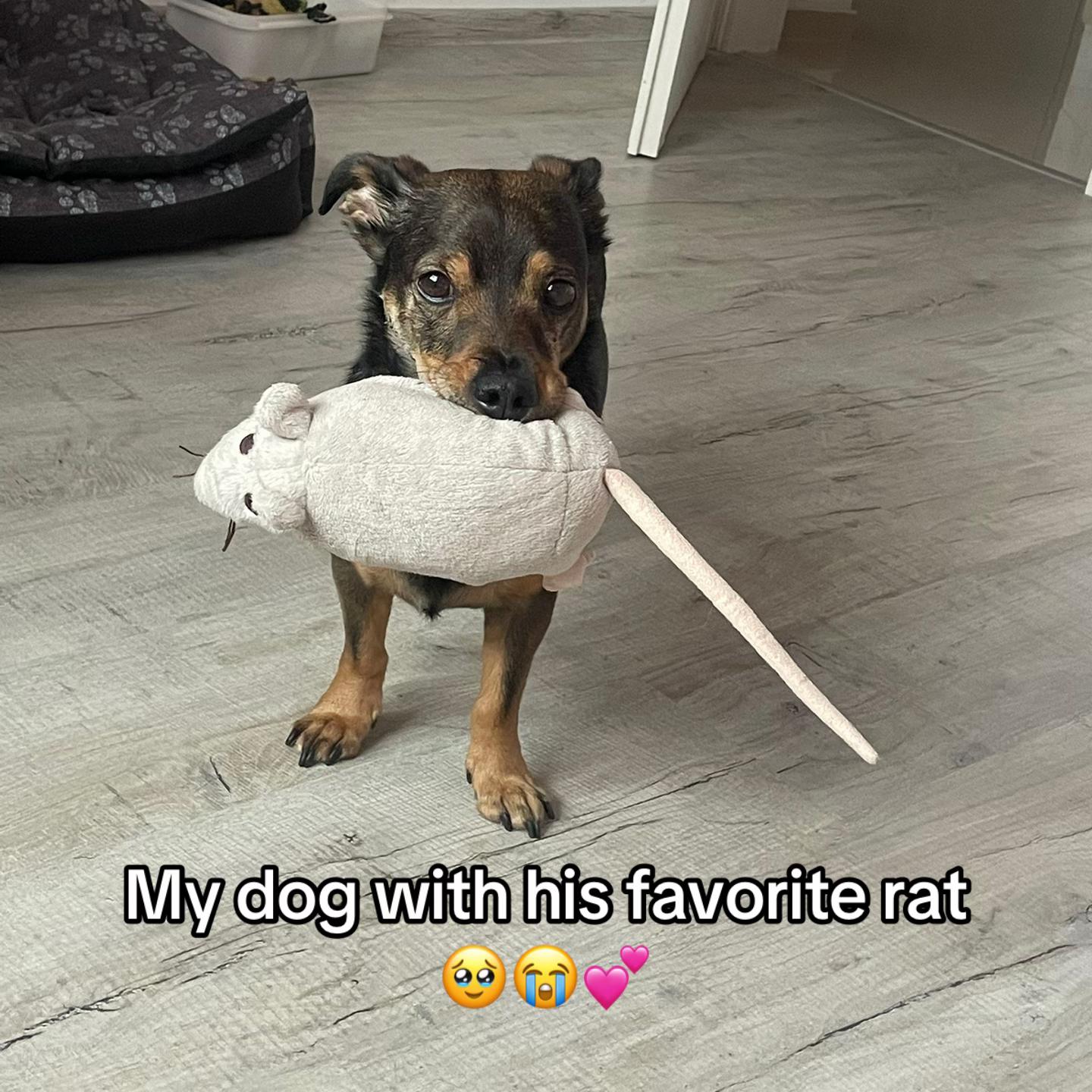 @AliK🎀