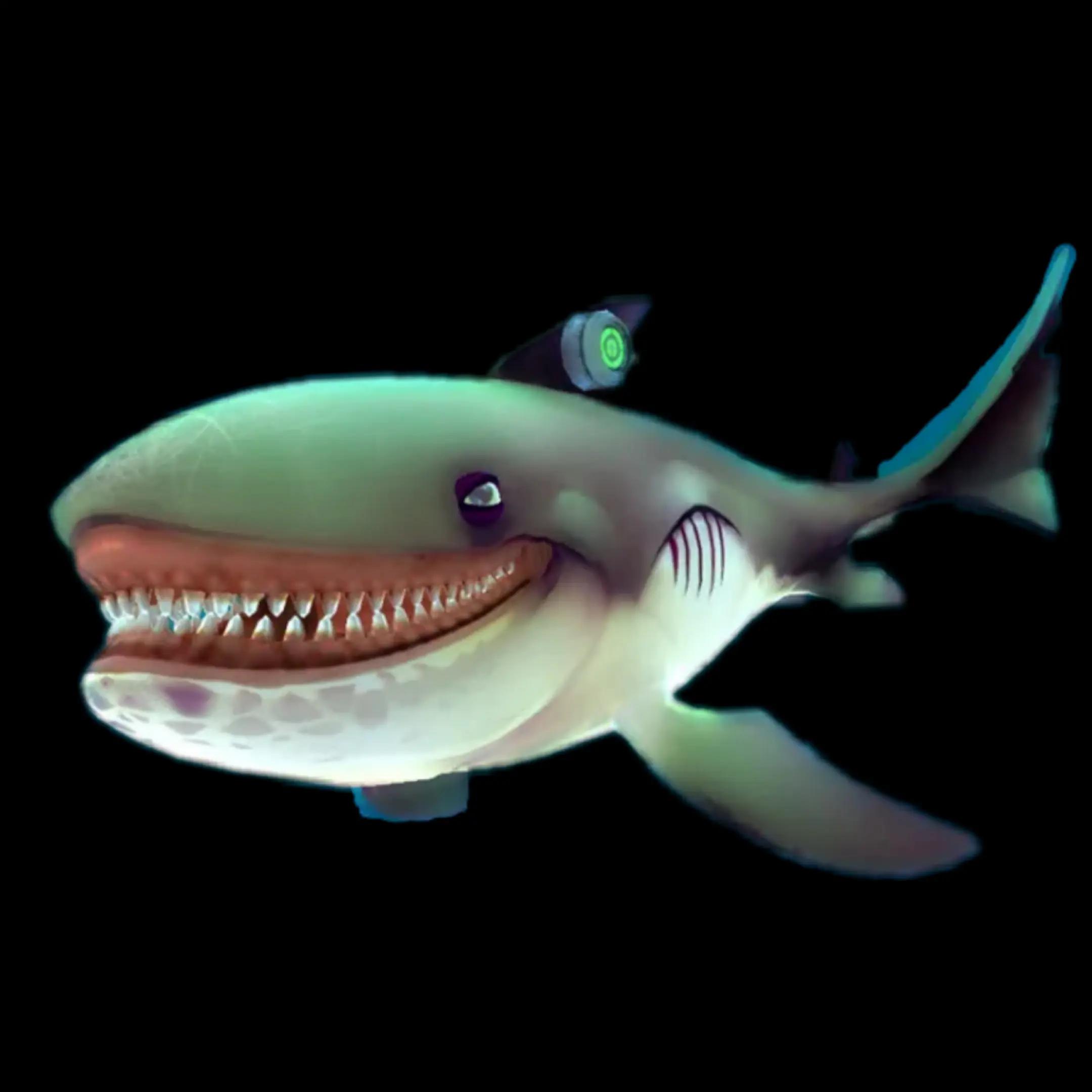 @Hungry Shark