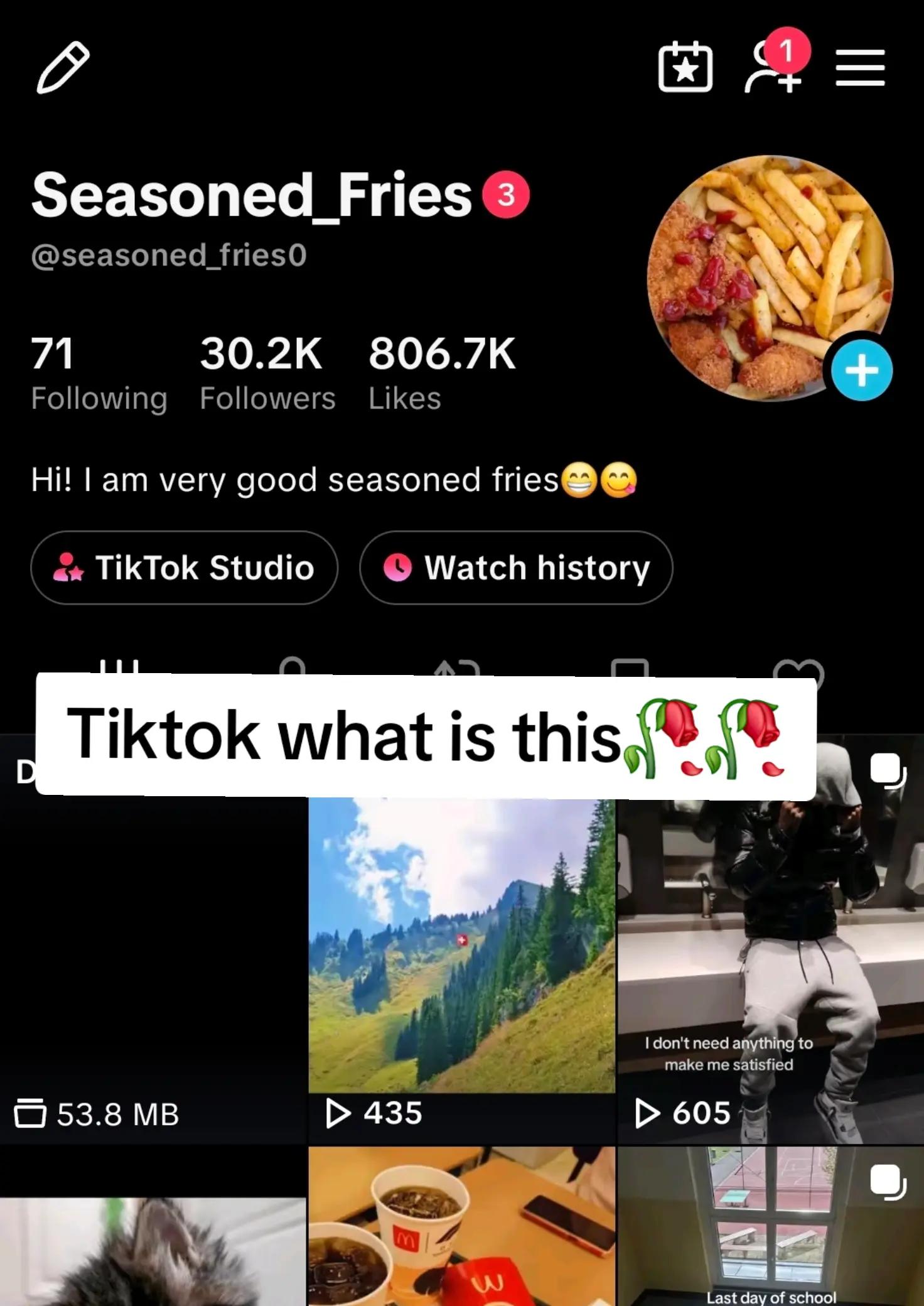 @Seasoned_Fries