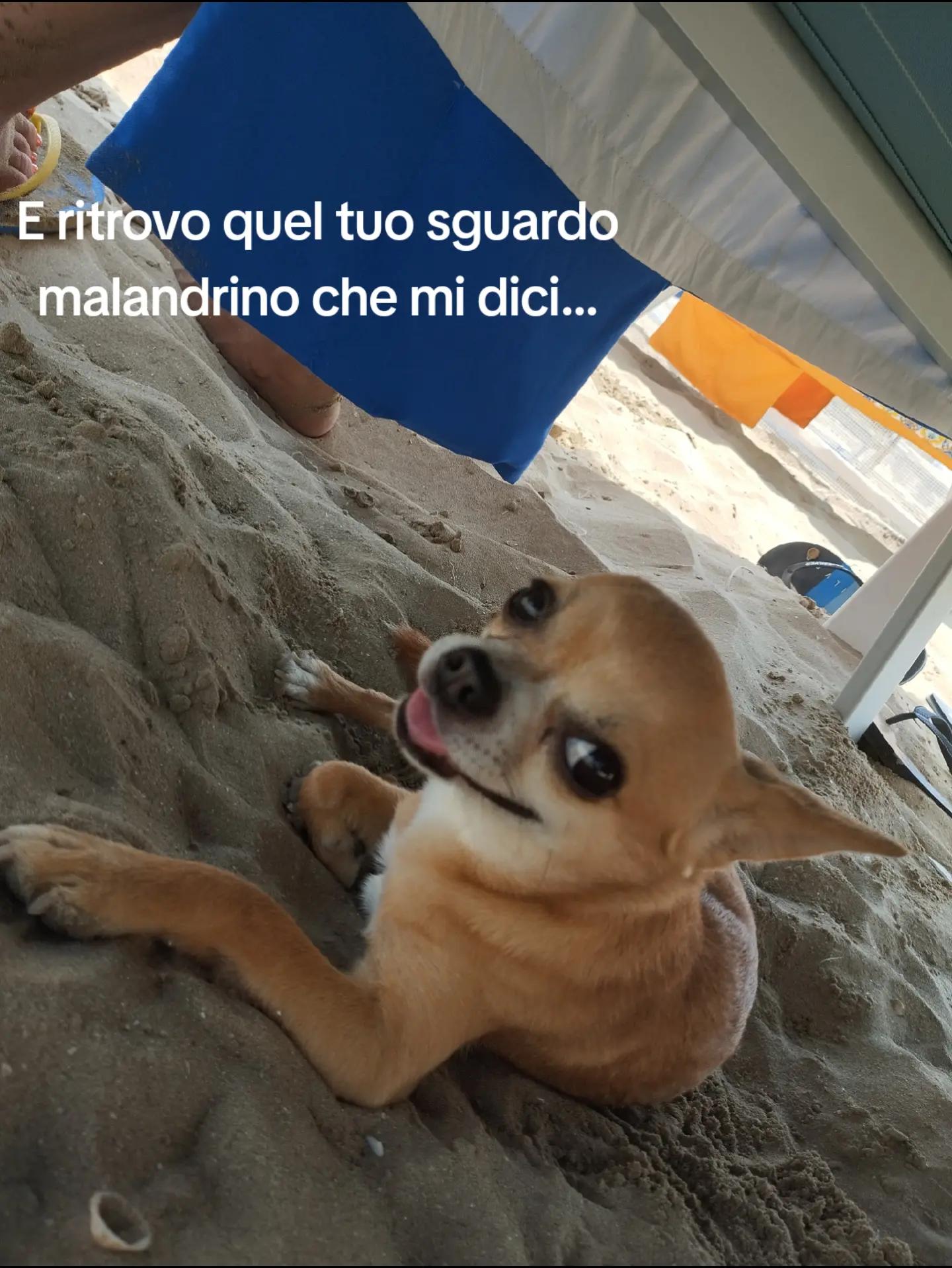 @Erika